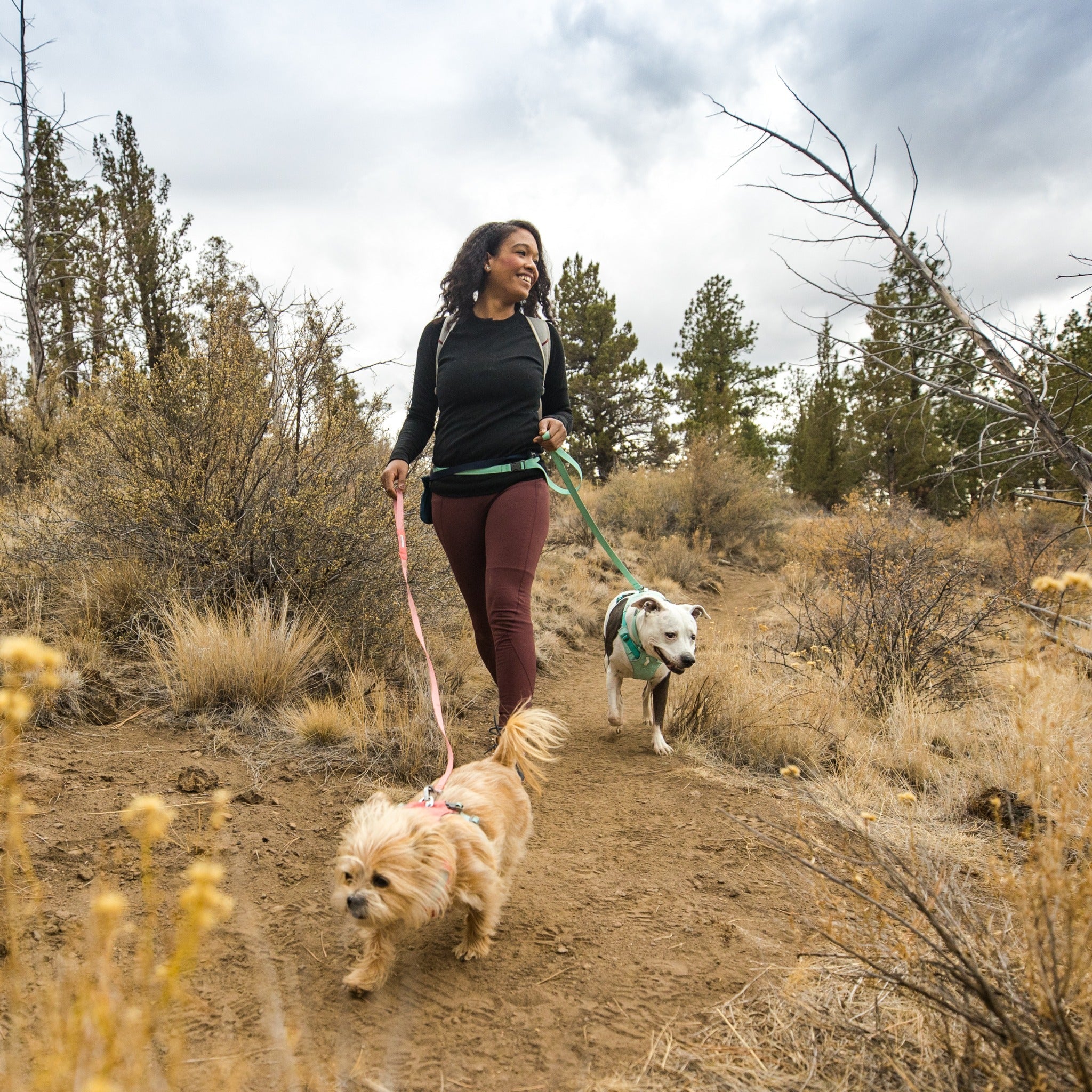 Ruffwear Flagline Leash, Hundeleine - Woofshack