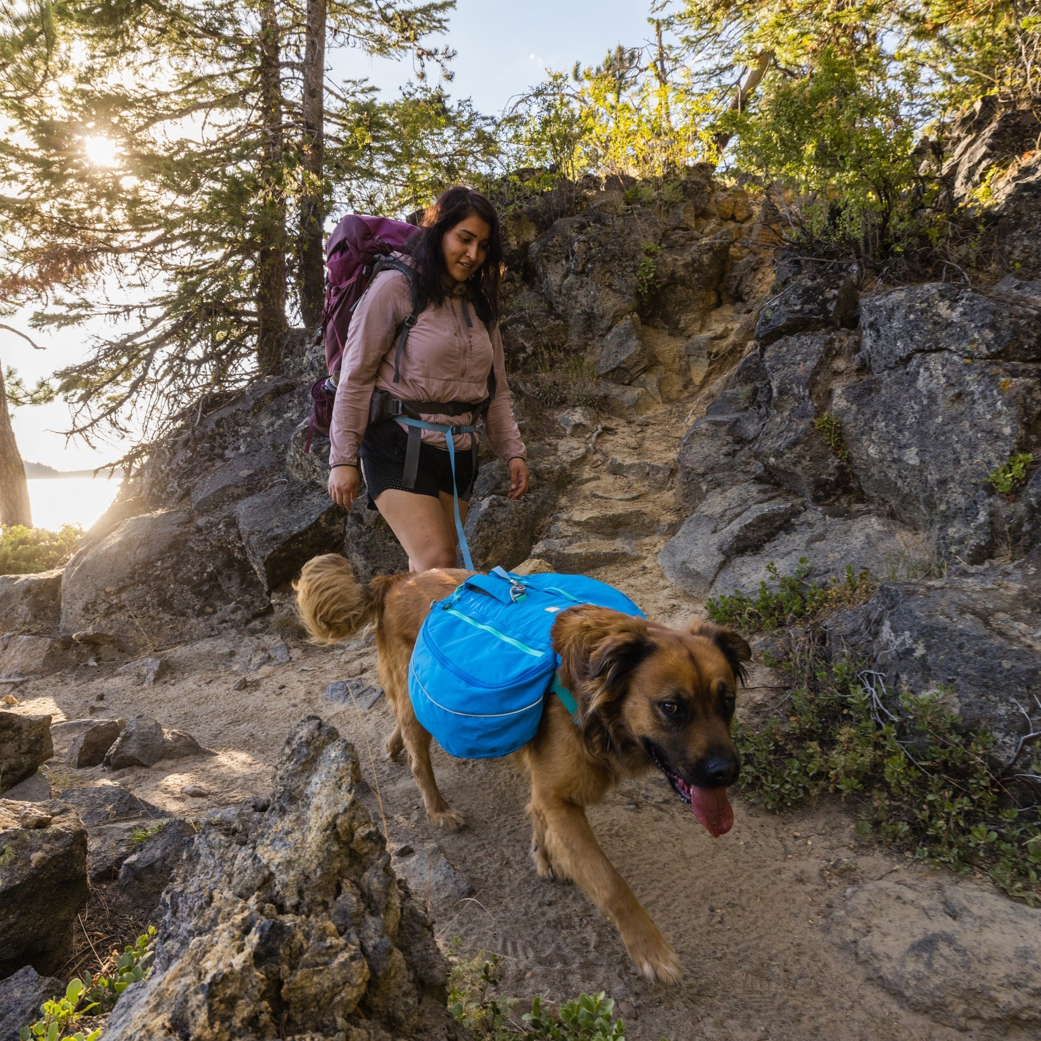 Ruffwear Flagline Leash, Hundeleine - Woofshack