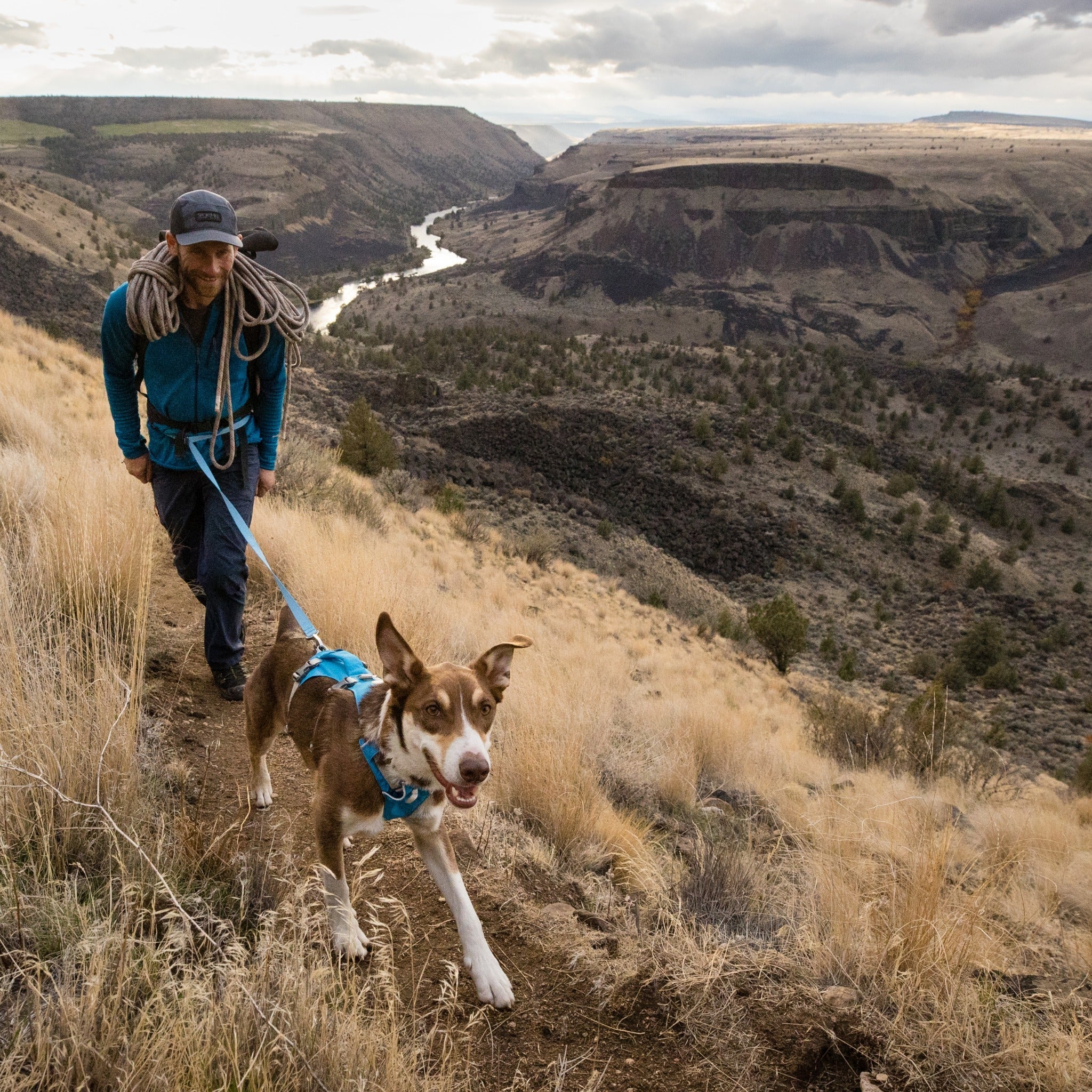 Ruffwear Flagline Leash, Hundeleine - Woofshack