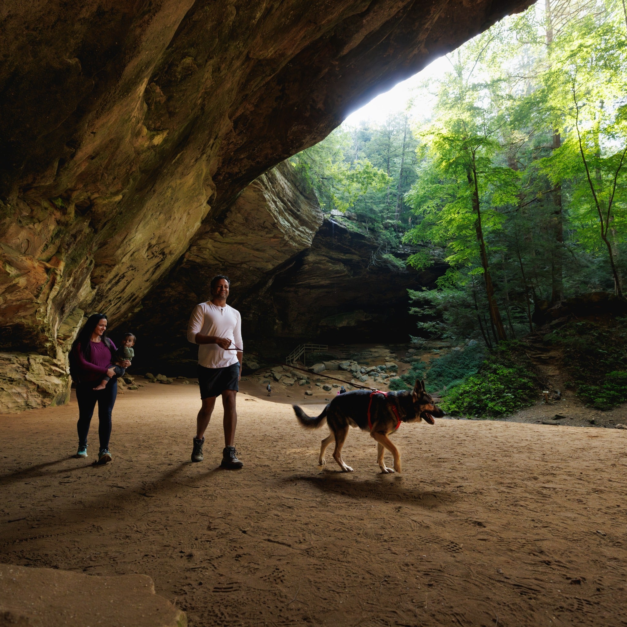 Ruffwear Front Range Harness, Hundegeschirr - Woofshack