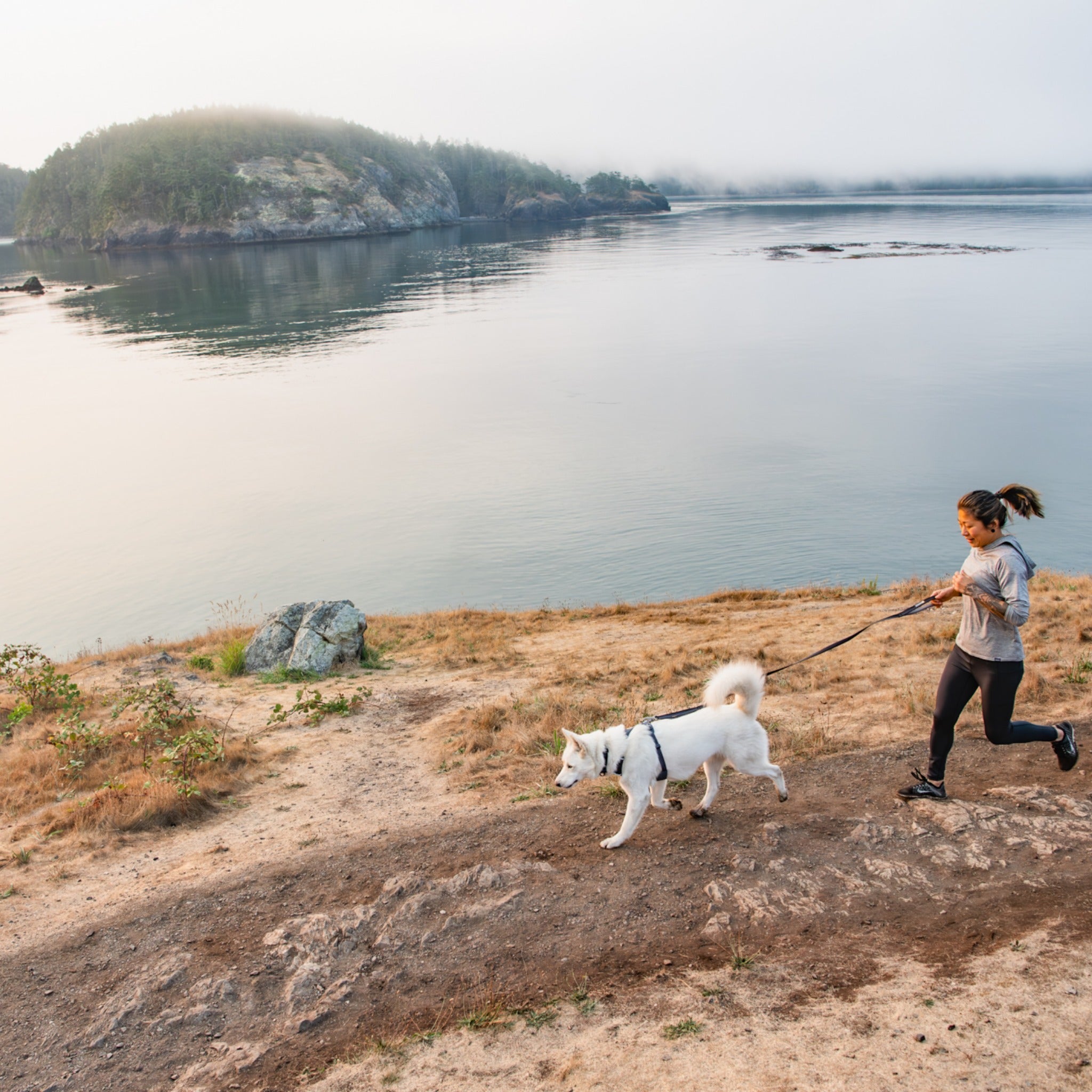 Ruffwear Front Range Harness, Hundegeschirr - Woofshack