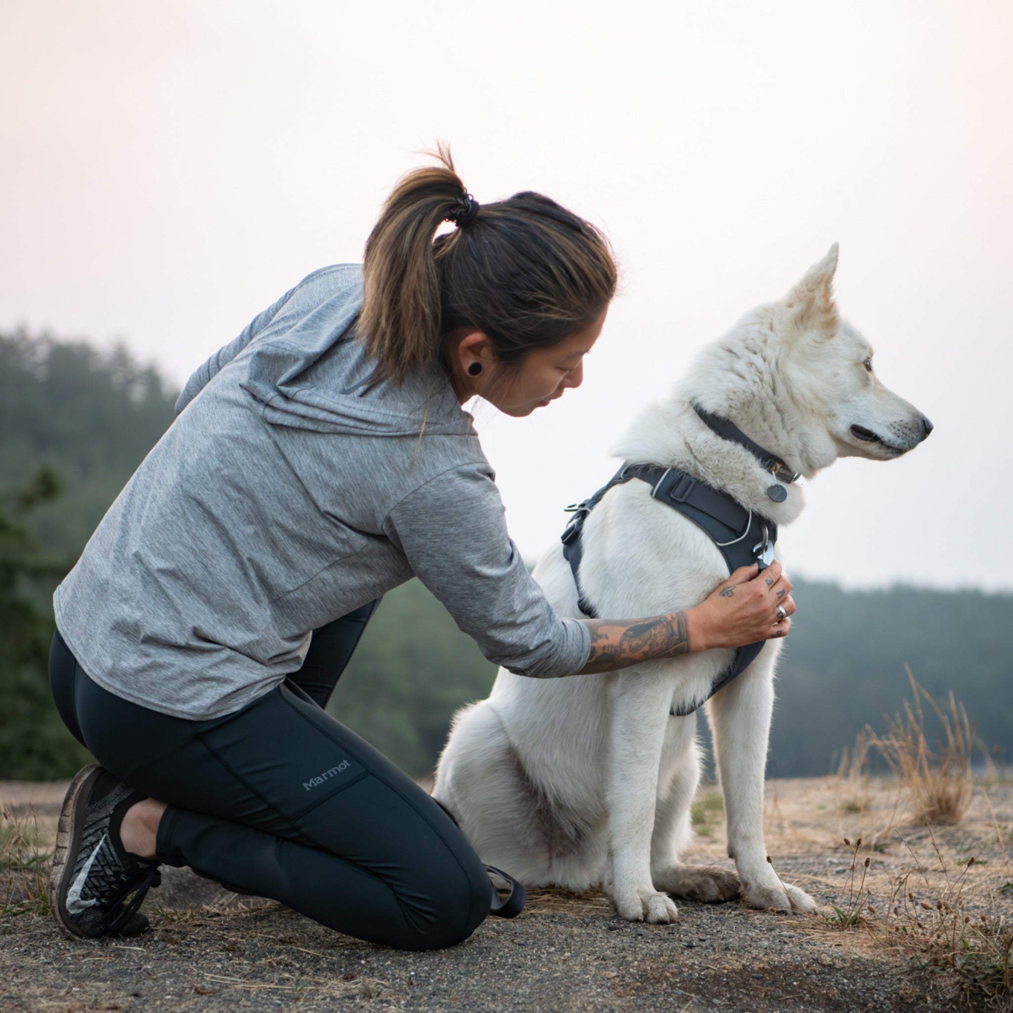 Ruffwear Front Range Harness, Hundegeschirr - Woofshack