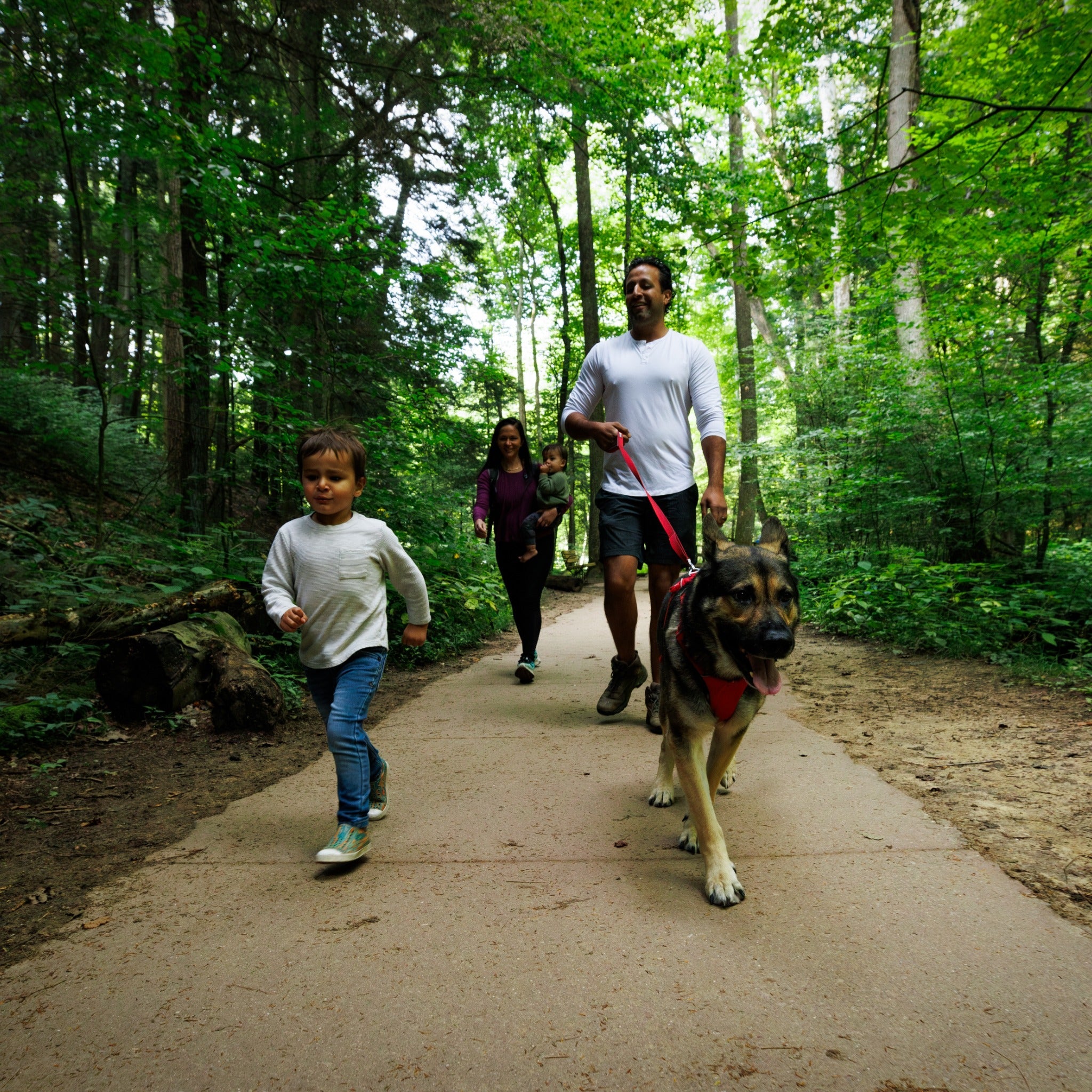 Ruffwear Front Range Harness, Hundegeschirr - Woofshack