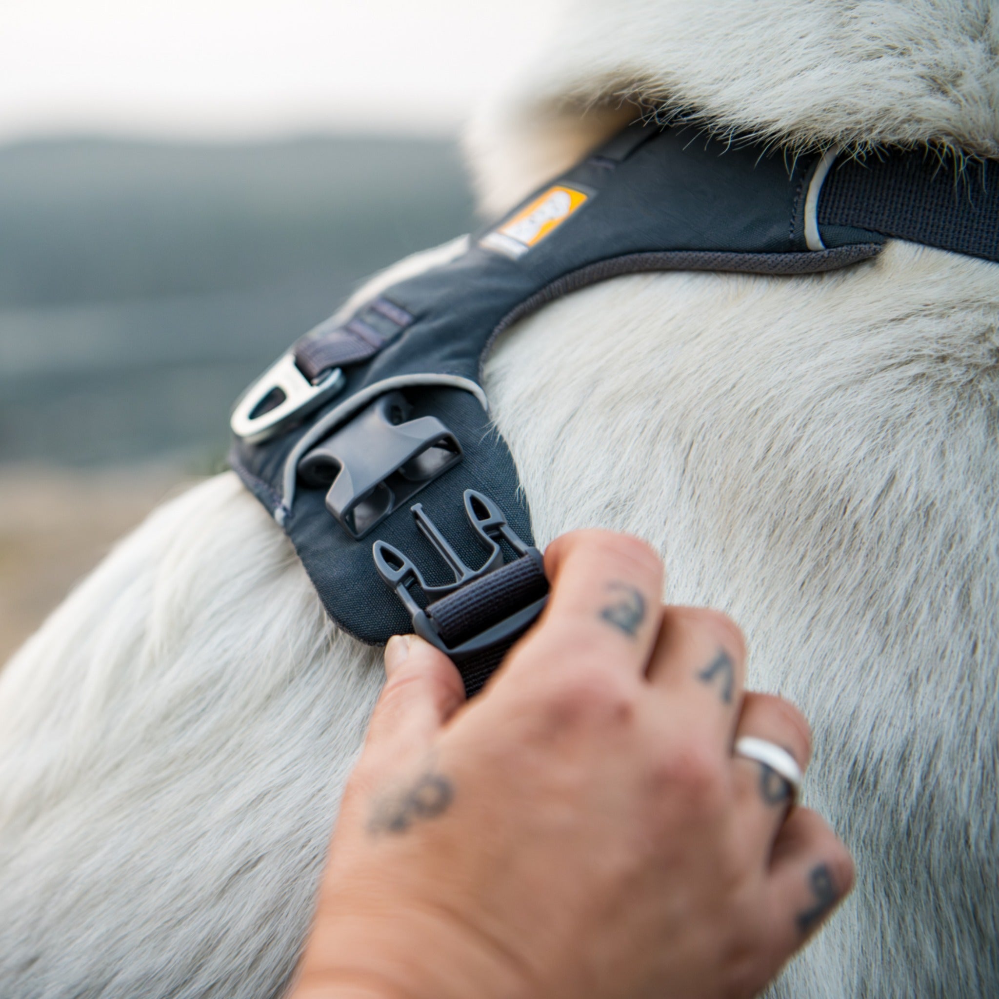 Ruffwear Front Range Harness, Hundegeschirr - Woofshack