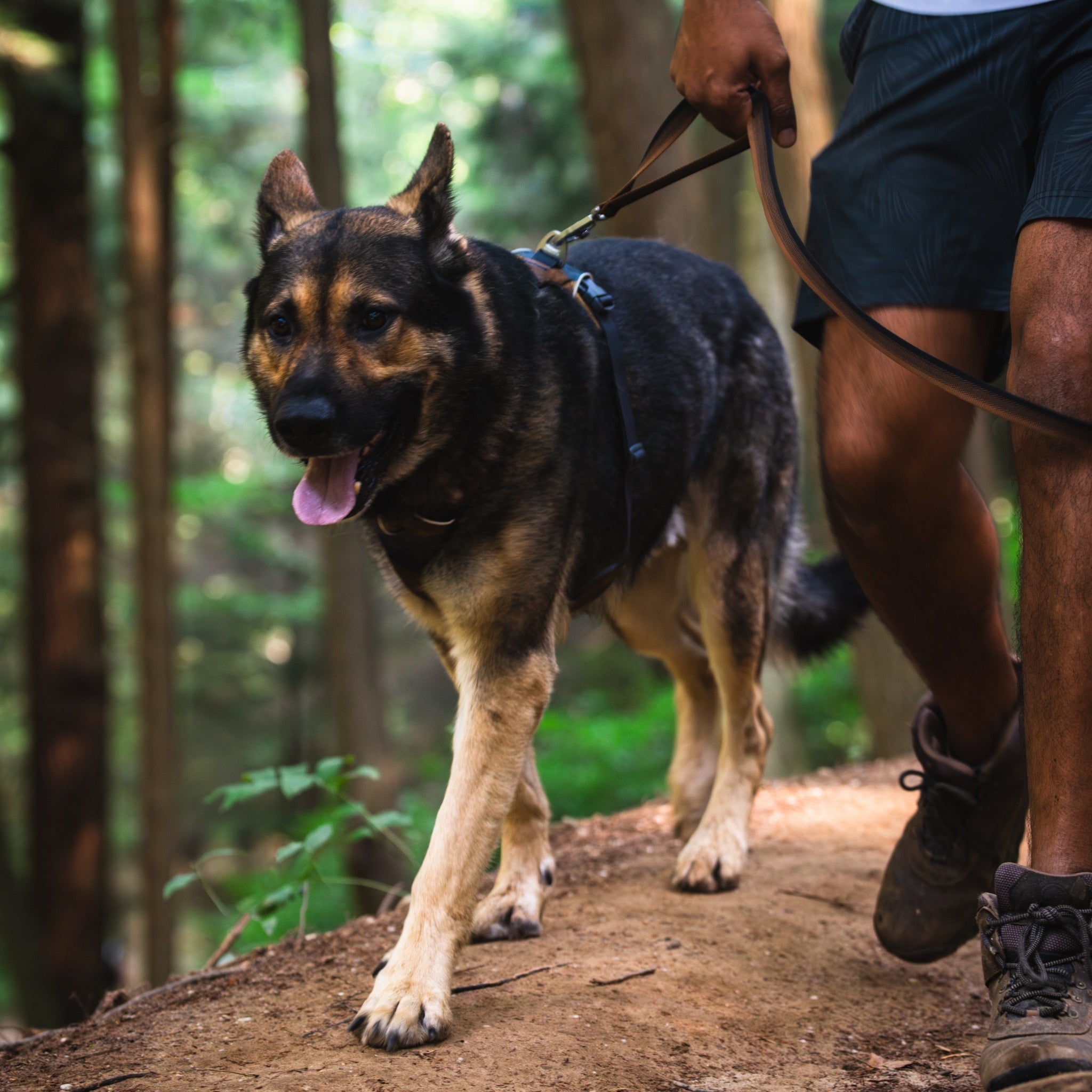 Ruffwear Front Range Harness, Hundegeschirr - Woofshack