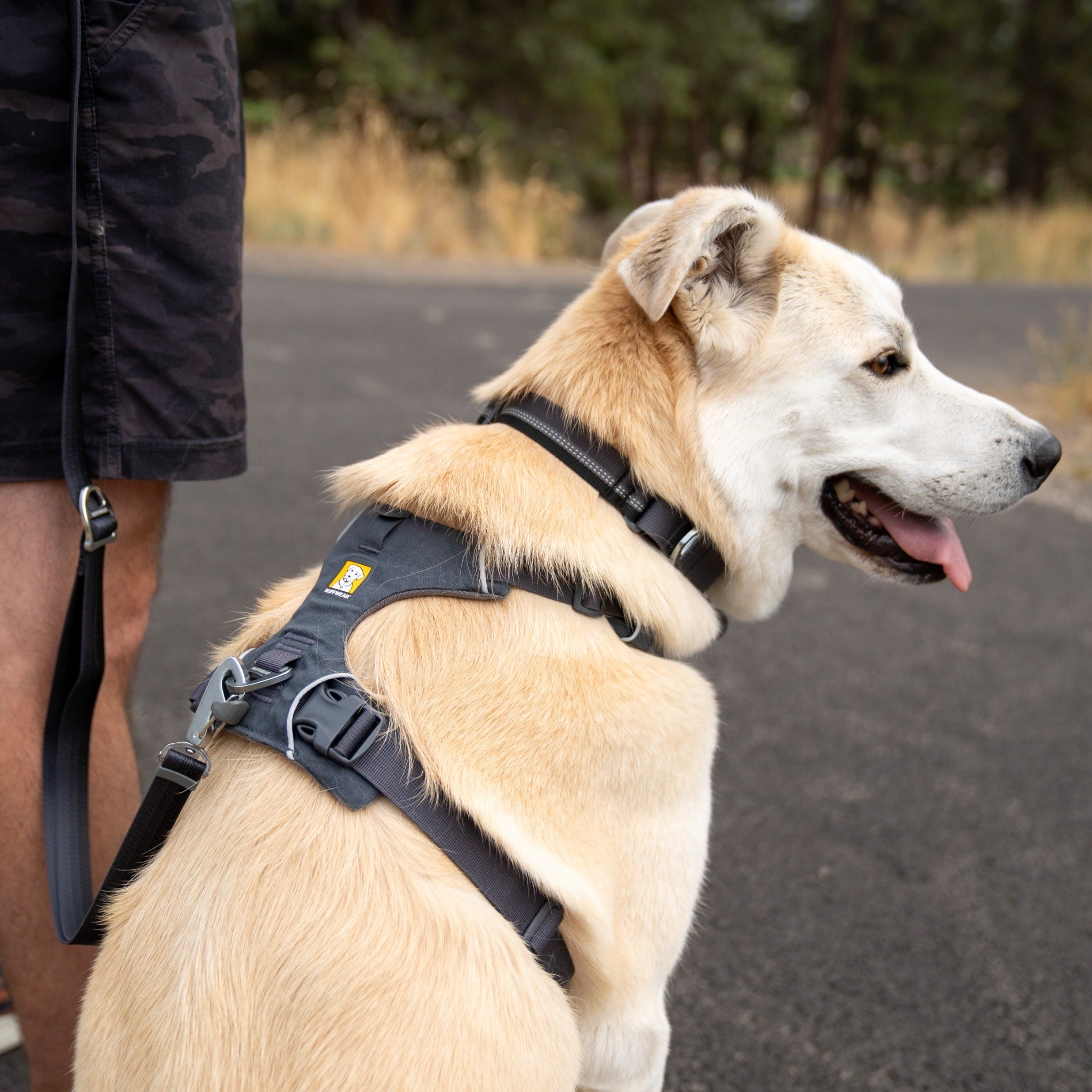 Ruffwear Front Range Harness, Hundegeschirr - Woofshack