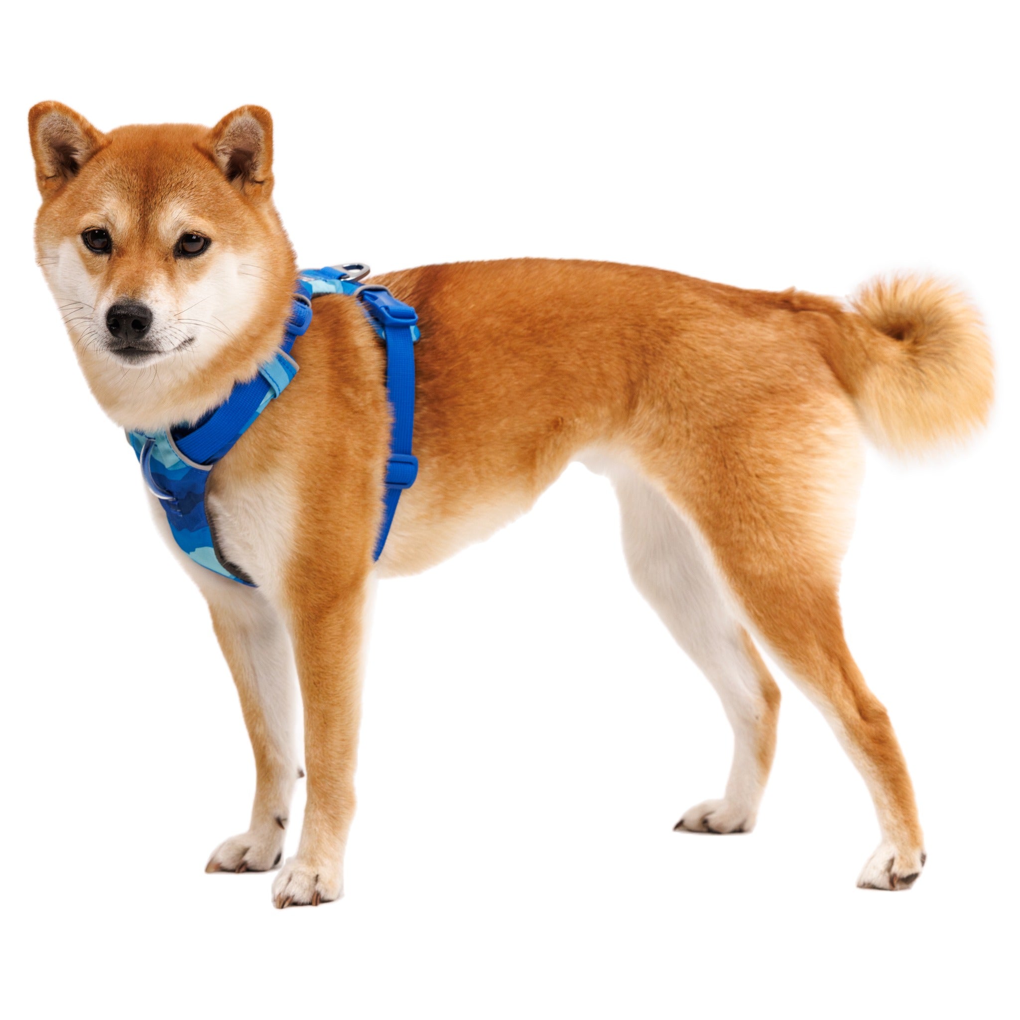 Ruffwear Front Range Harness, Hundegeschirr - Woofshack