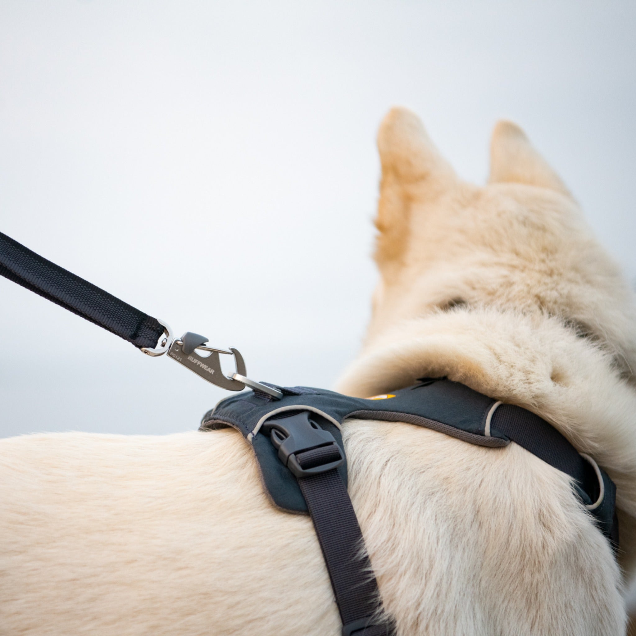 Ruffwear Front Range Harness, Hundegeschirr - Woofshack