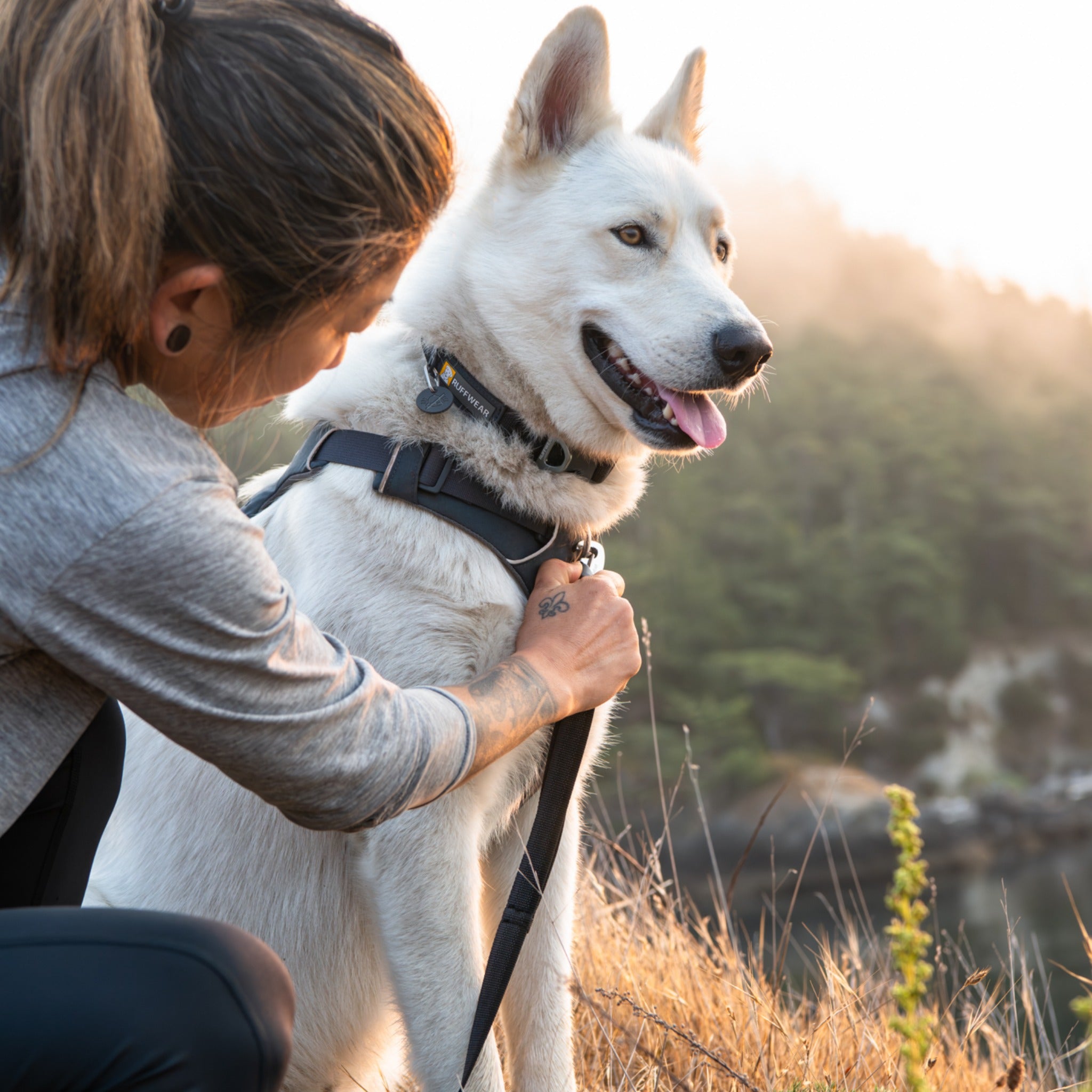 Ruffwear Front Range Leash, Hundeleine - Woofshack