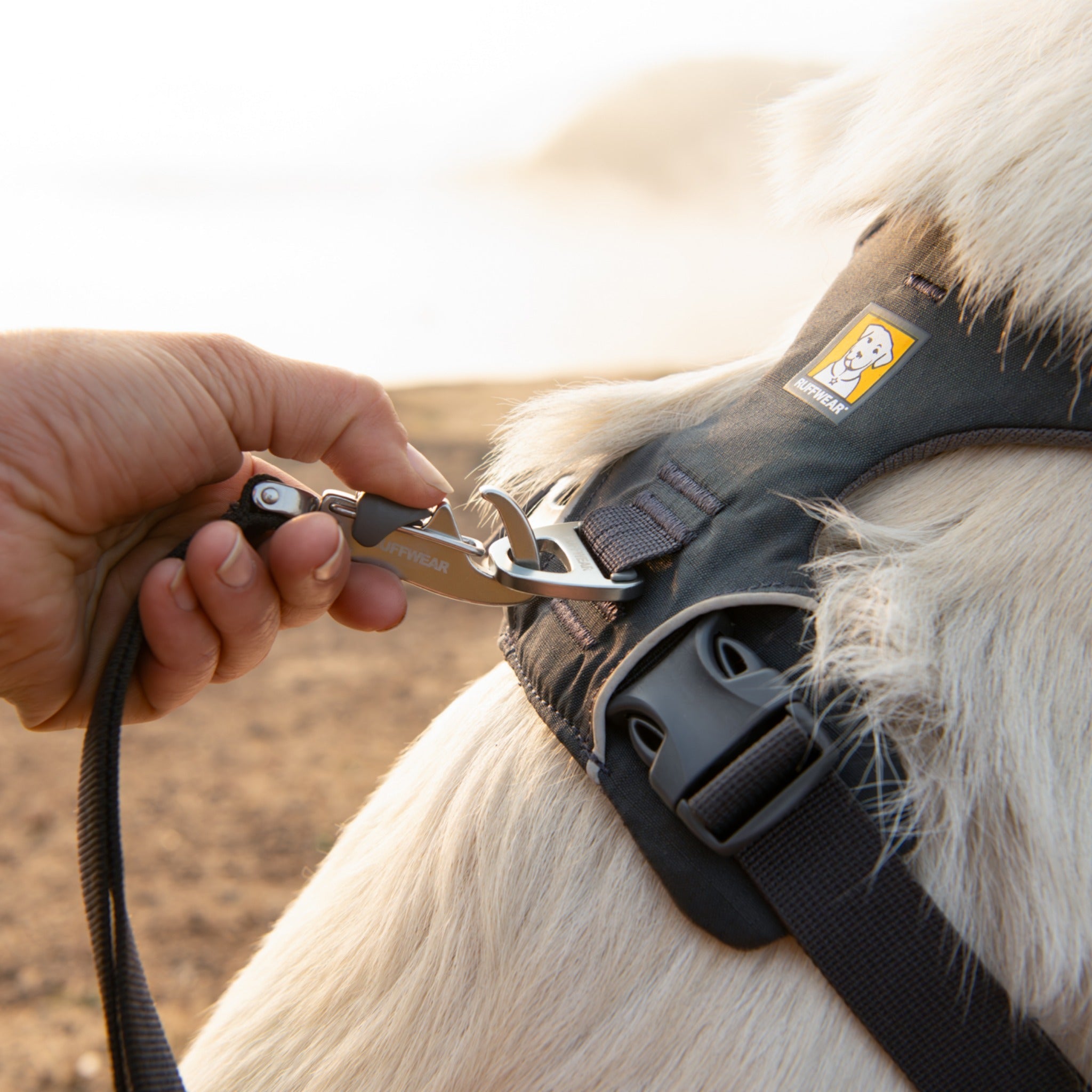 Ruffwear Front Range Leash, Hundeleine - Woofshack