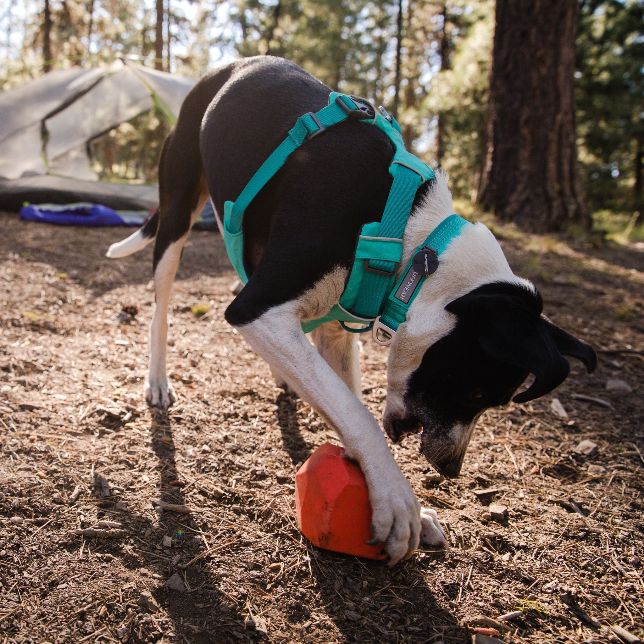 Ruffwear Gnawt-a-Rock™ Hundespielzeug, interaktiv & befüllbar - Woofshack