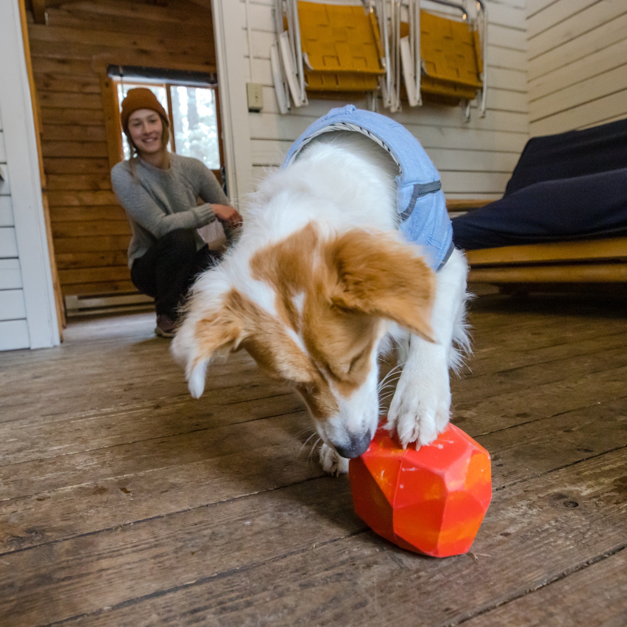 Ruffwear Gnawt-a-Rock™ Hundespielzeug, interaktiv & befüllbar - Woofshack