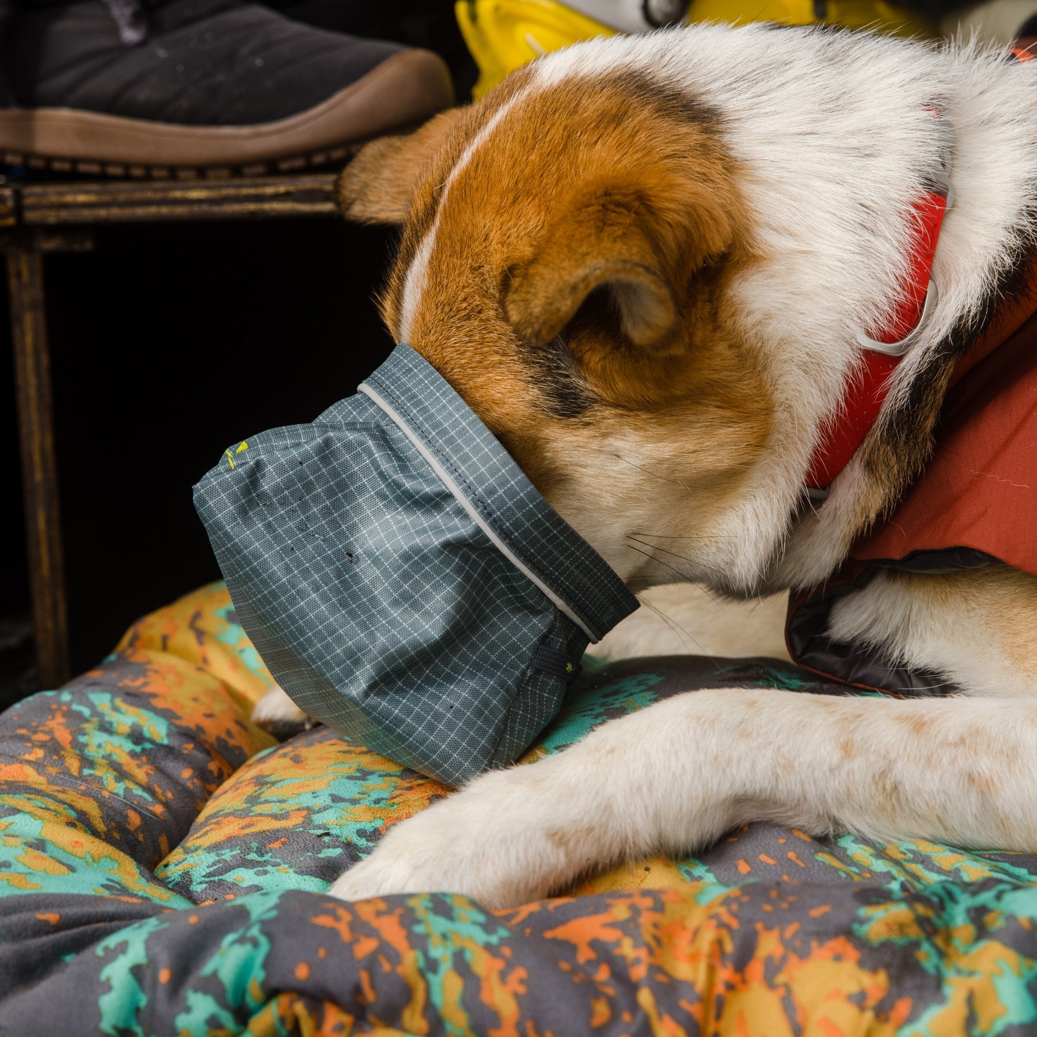 Ruffwear Great Basin Bowl, Hundenapf - Woofshack