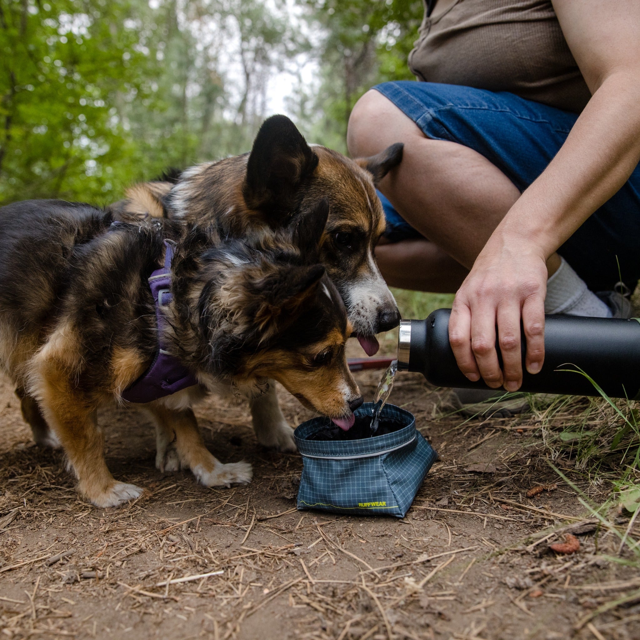 Ruffwear Great Basin Bowl, Hundenapf - Woofshack