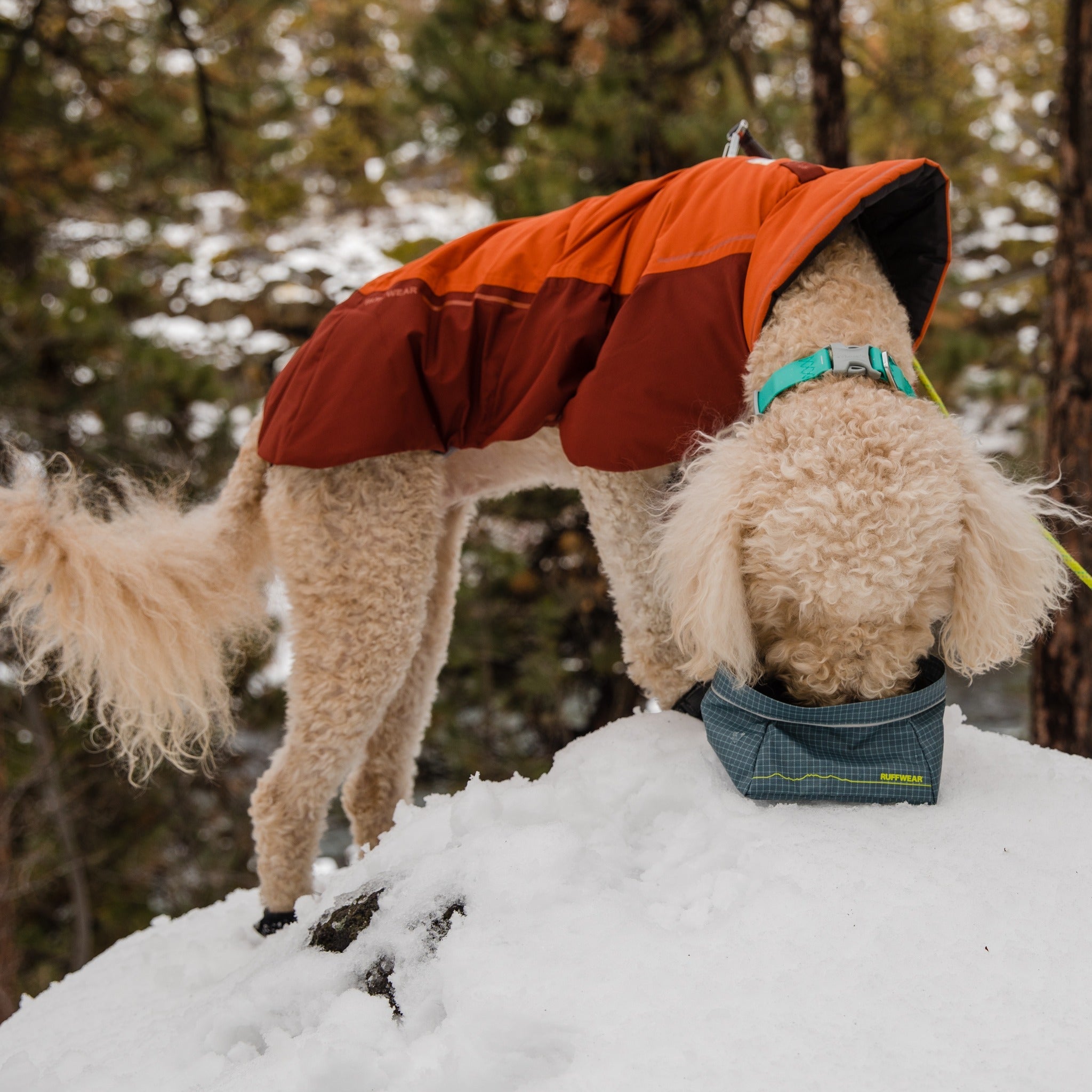 Ruffwear Great Basin Bowl, Hundenapf - Woofshack