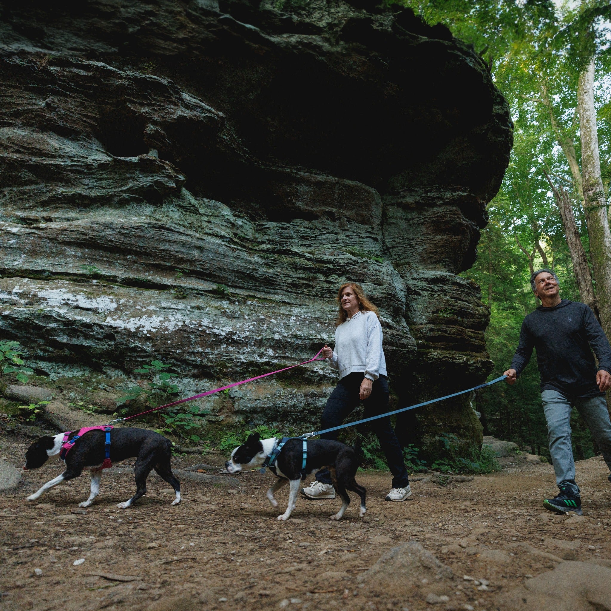 Ruffwear Hi & Light Harness, Hundegeschirr - Woofshack