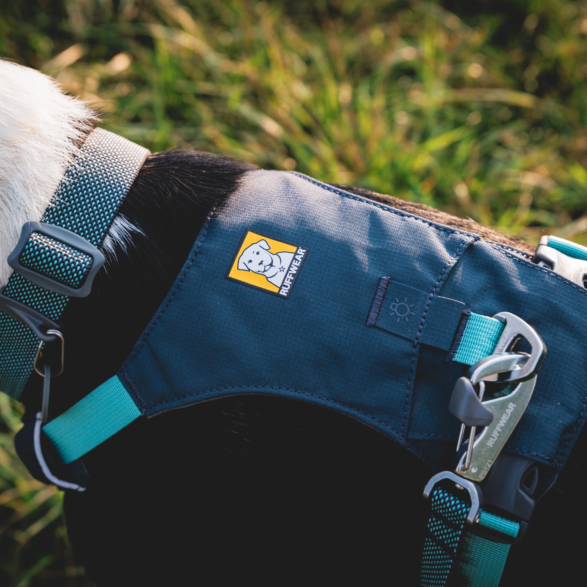 Ruffwear Hi & Light Harness, Hundegeschirr - Woofshack