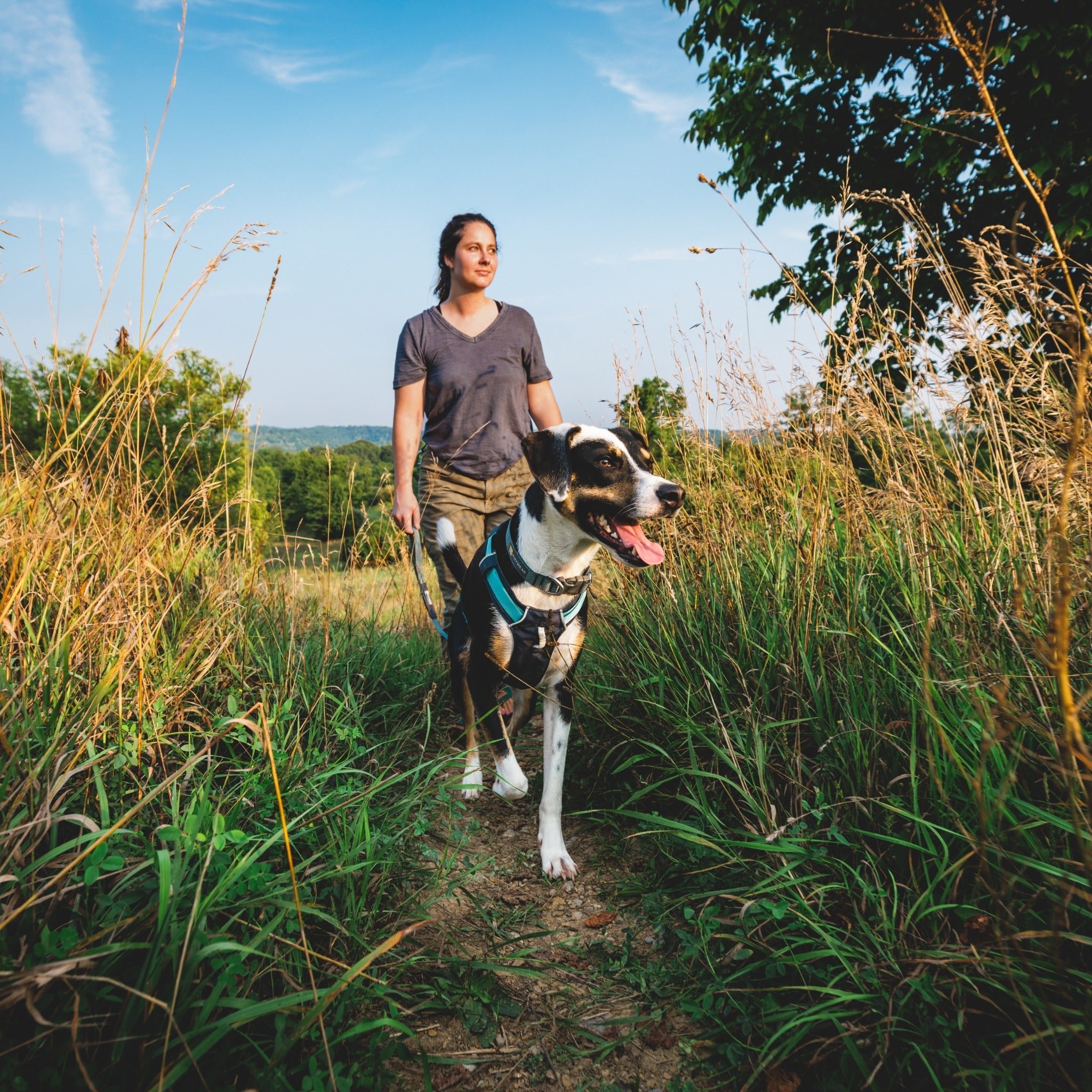 Ruffwear Hi & Light Harness, Hundegeschirr - Woofshack