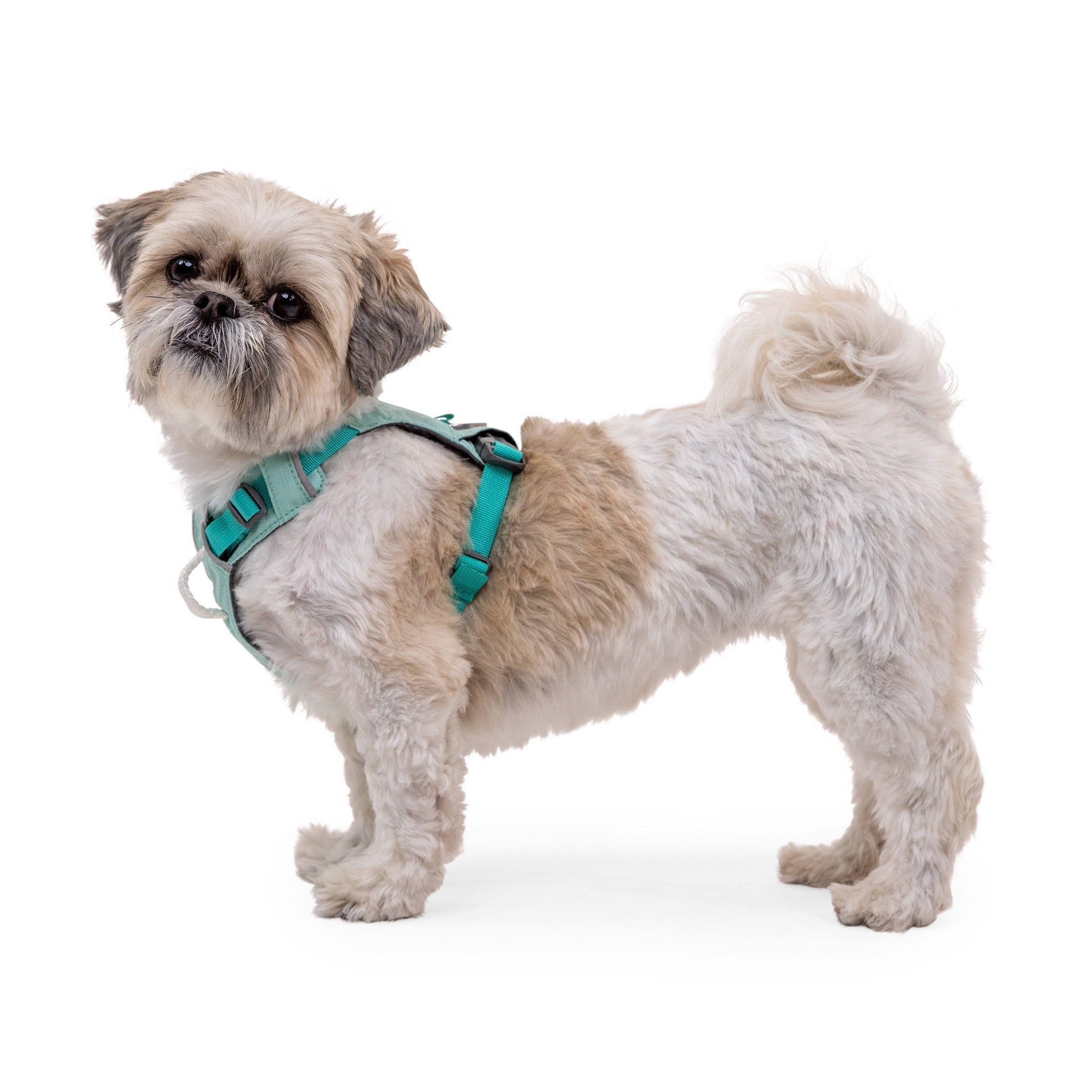 Ruffwear Hi & Light™ Harness, Leichtes Hundegeschirr - Woofshack