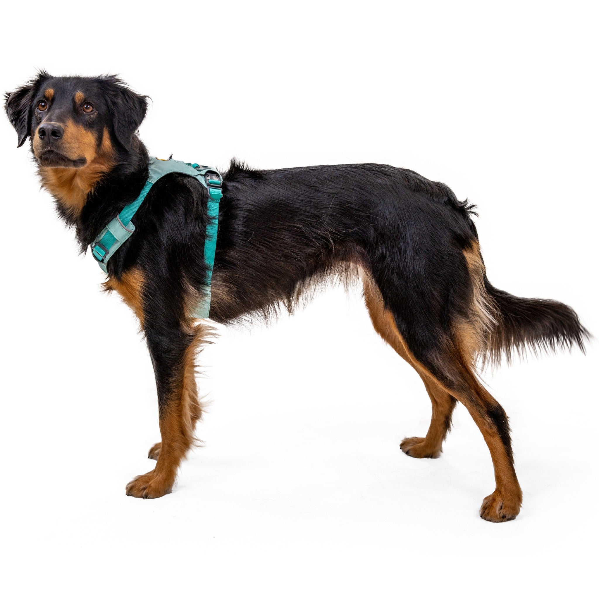 Ruffwear Hi & Light™ Harness, Leichtes Hundegeschirr - Woofshack