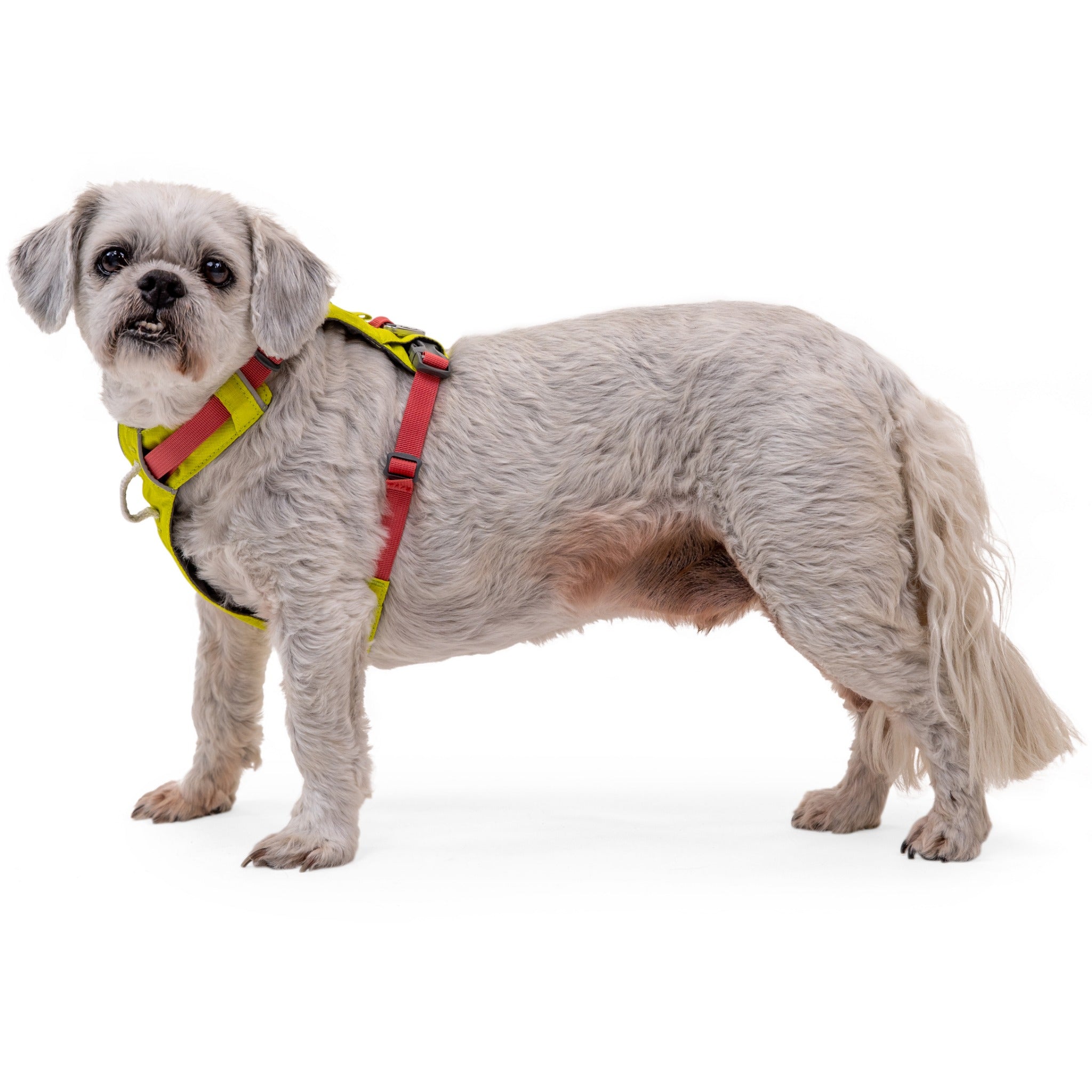 Ruffwear Hi & Light™ Harness, Leichtes Hundegeschirr - Woofshack