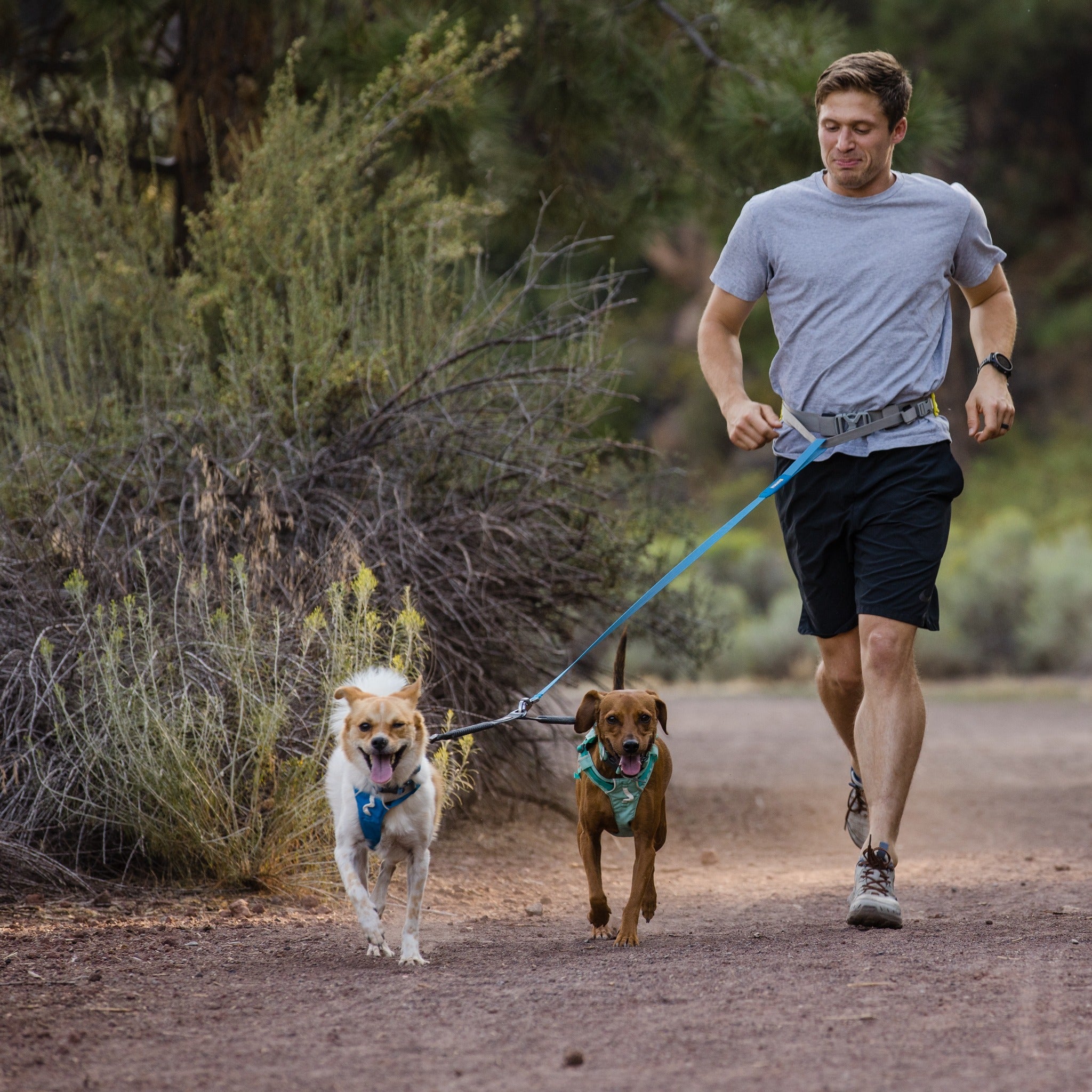 Ruffwear Hi & Light™ Harness, Leichtes Hundegeschirr - Woofshack