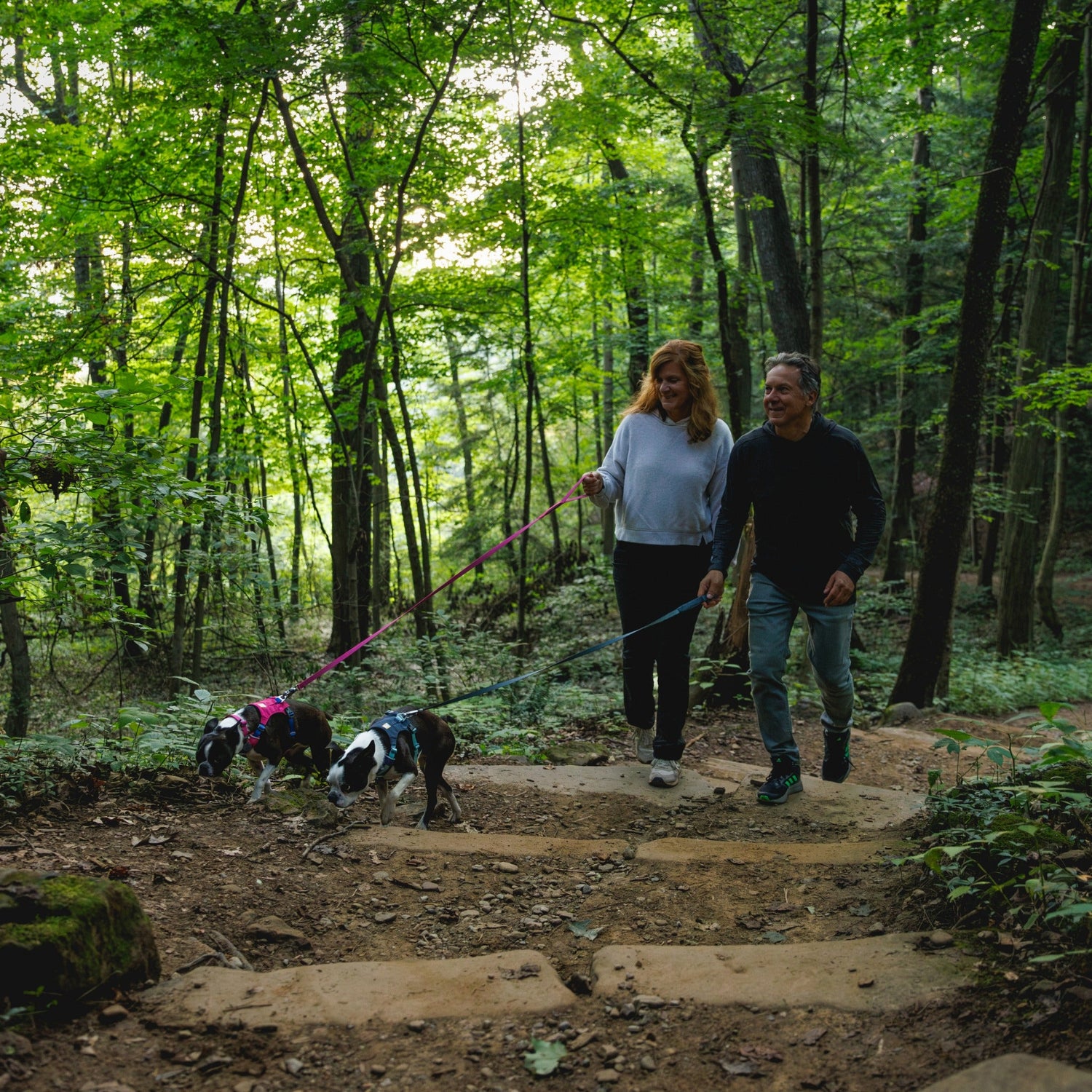 Ruffwear Hi & Light Leash, Hundeleine - Woofshack