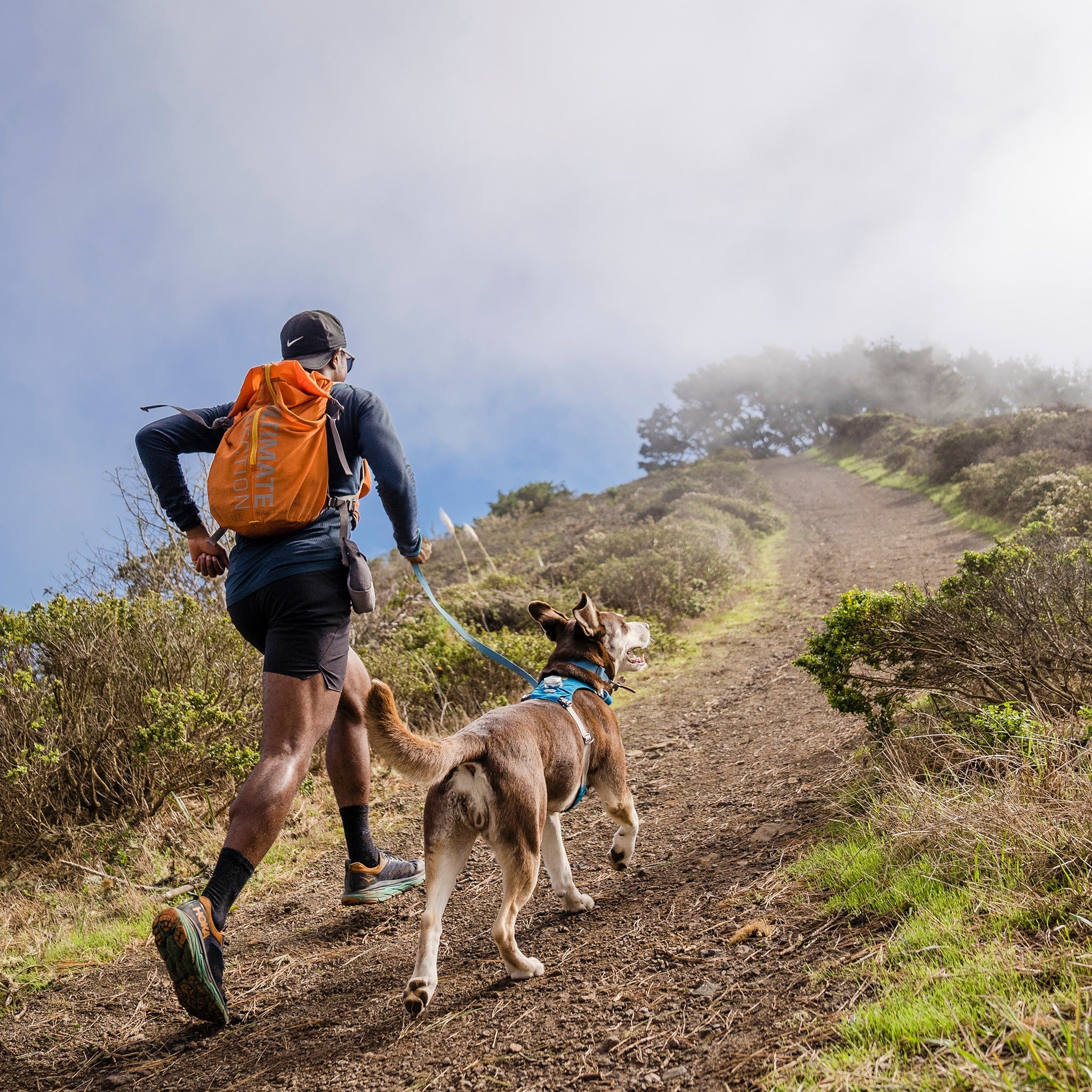 Ruffwear Hi & Light Leash, Hundeleine - Woofshack