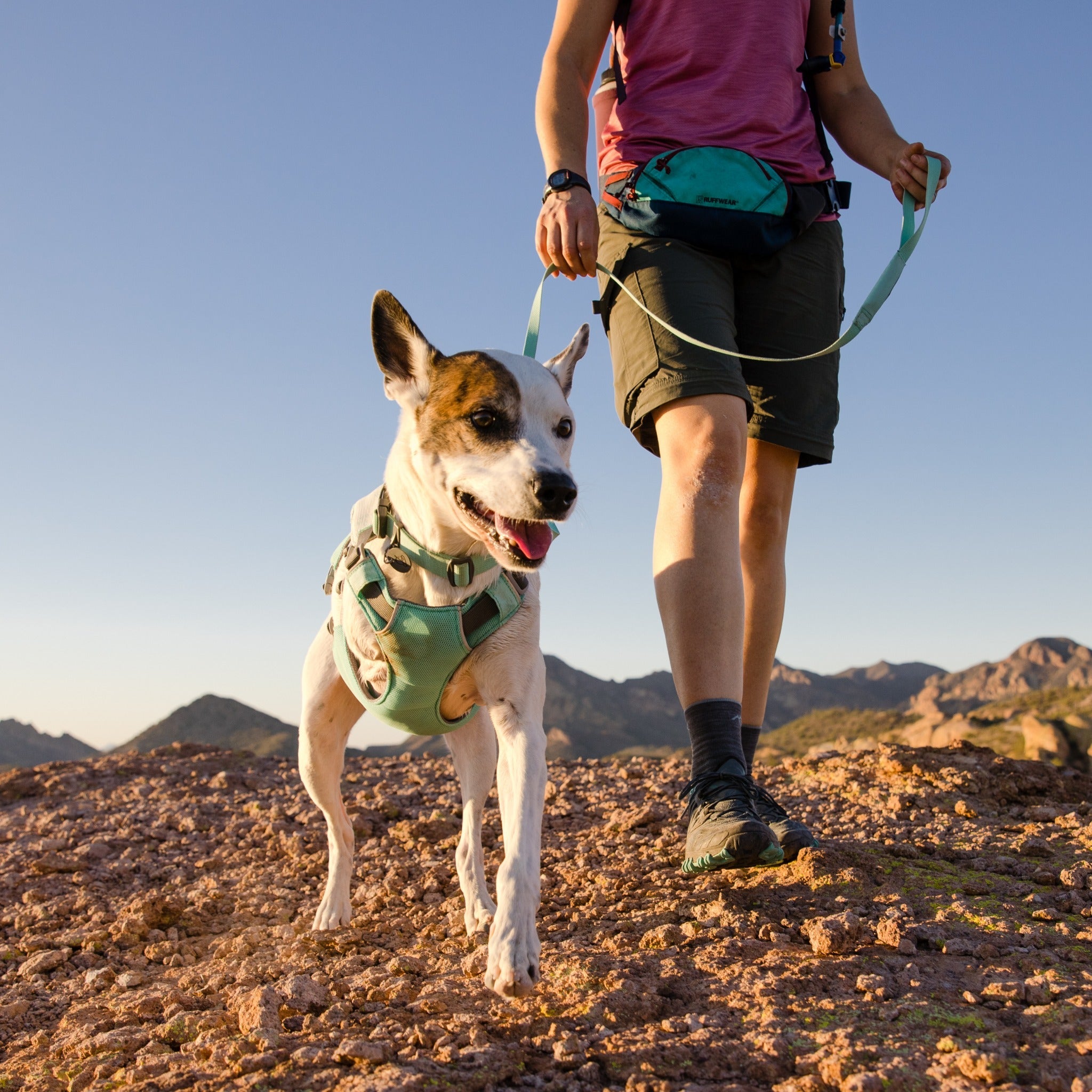 Ruffwear Hi & Light Leash, Hundeleine - Woofshack