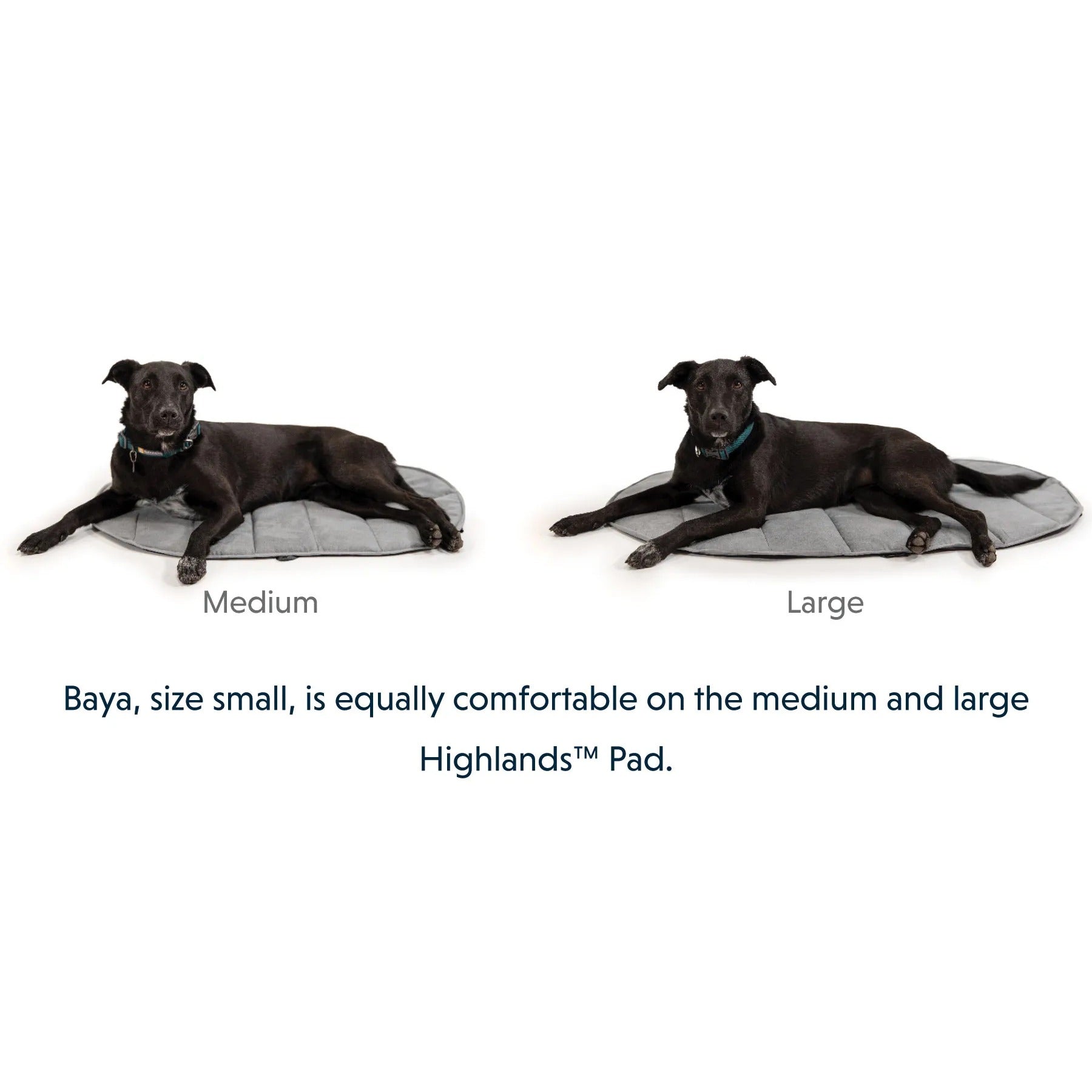 Ruffwear Highlands™ Pad Hunde Isomatte gegen Kälte und Nässe - Woofshack