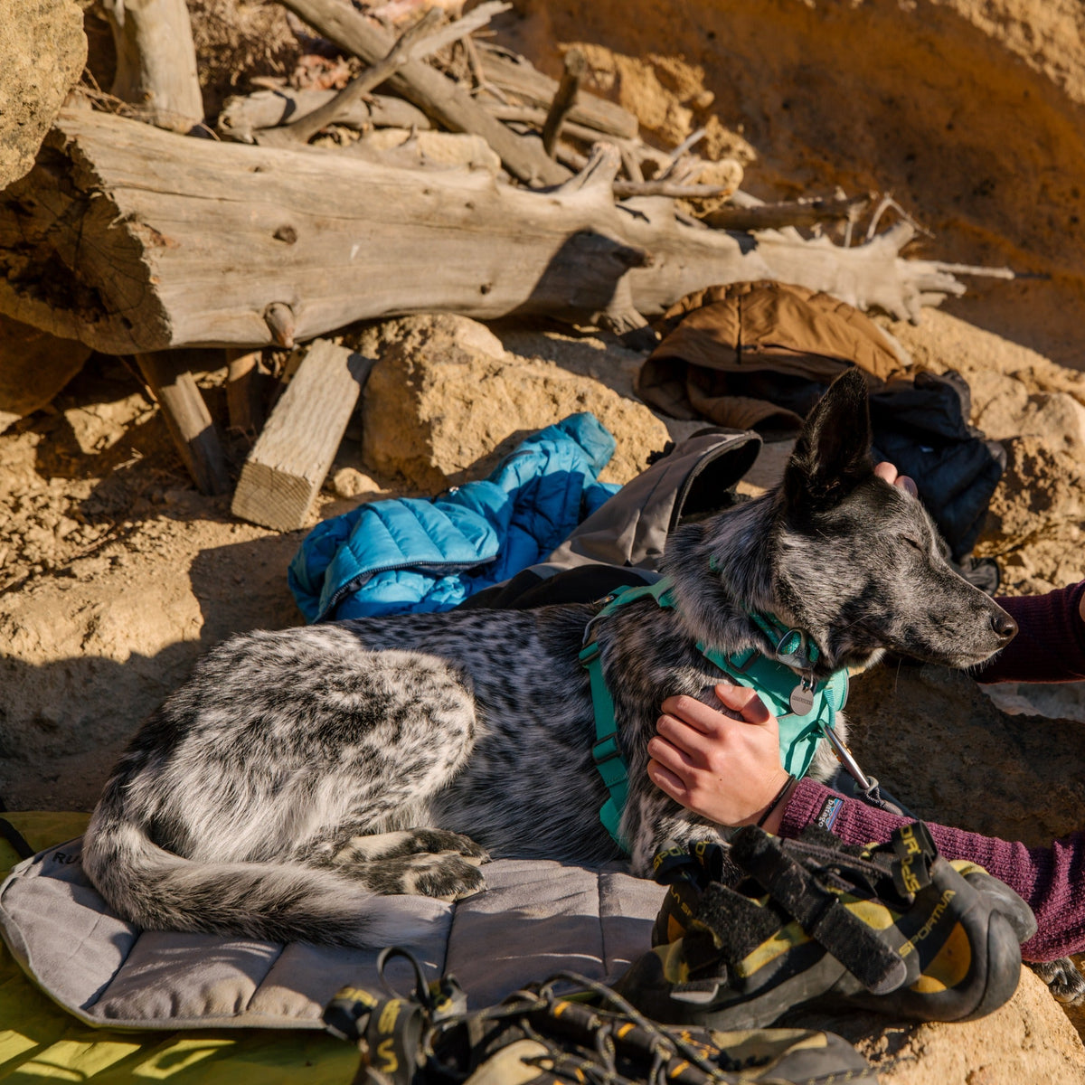 Ruffwear Highlands™ Pad Hunde Isomatte gegen Kälte und Nässe - Woofshack