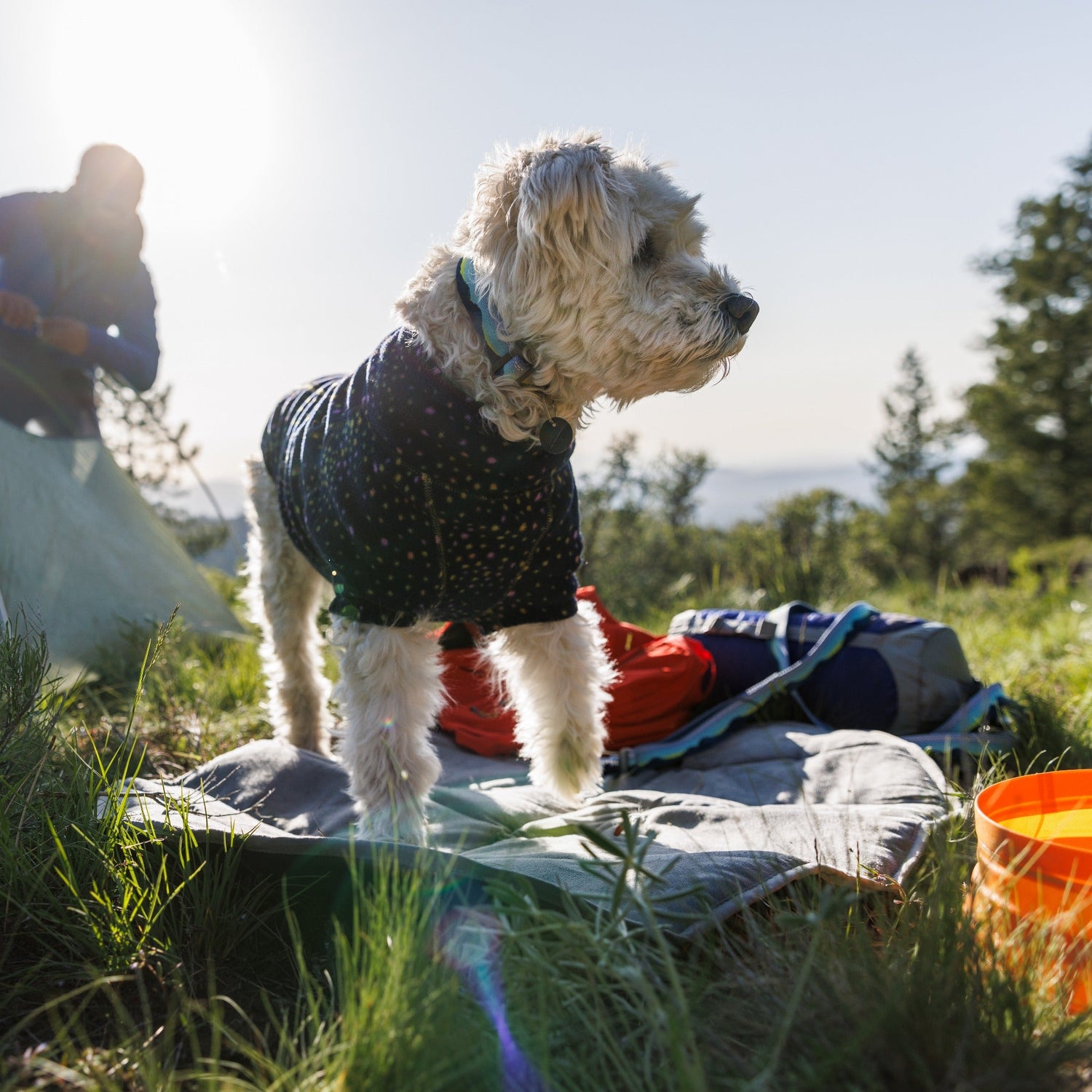 Ruffwear Highlands™ Pad Hunde Isomatte gegen Kälte und Nässe - Woofshack