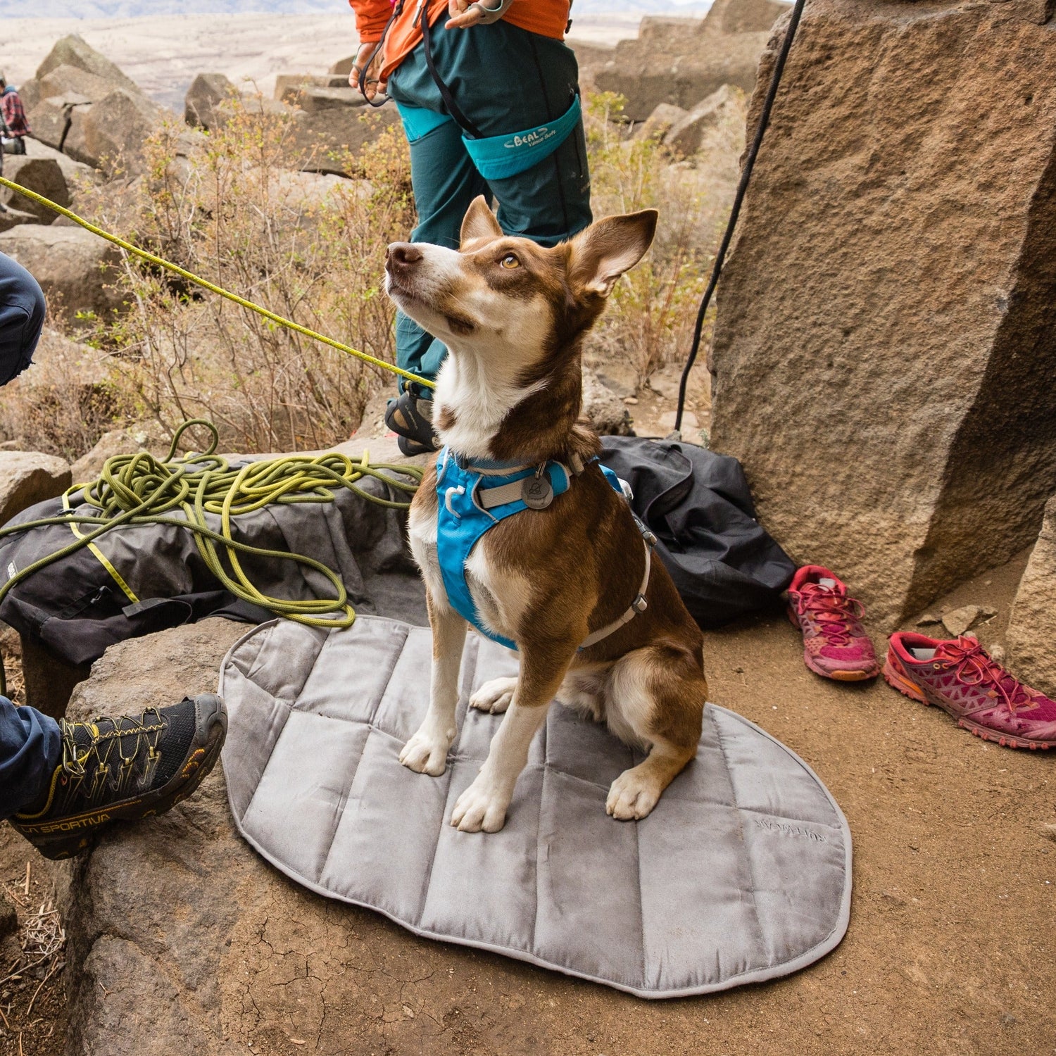 Ruffwear Highlands™ Pad Hunde Isomatte gegen Kälte und Nässe - Woofshack