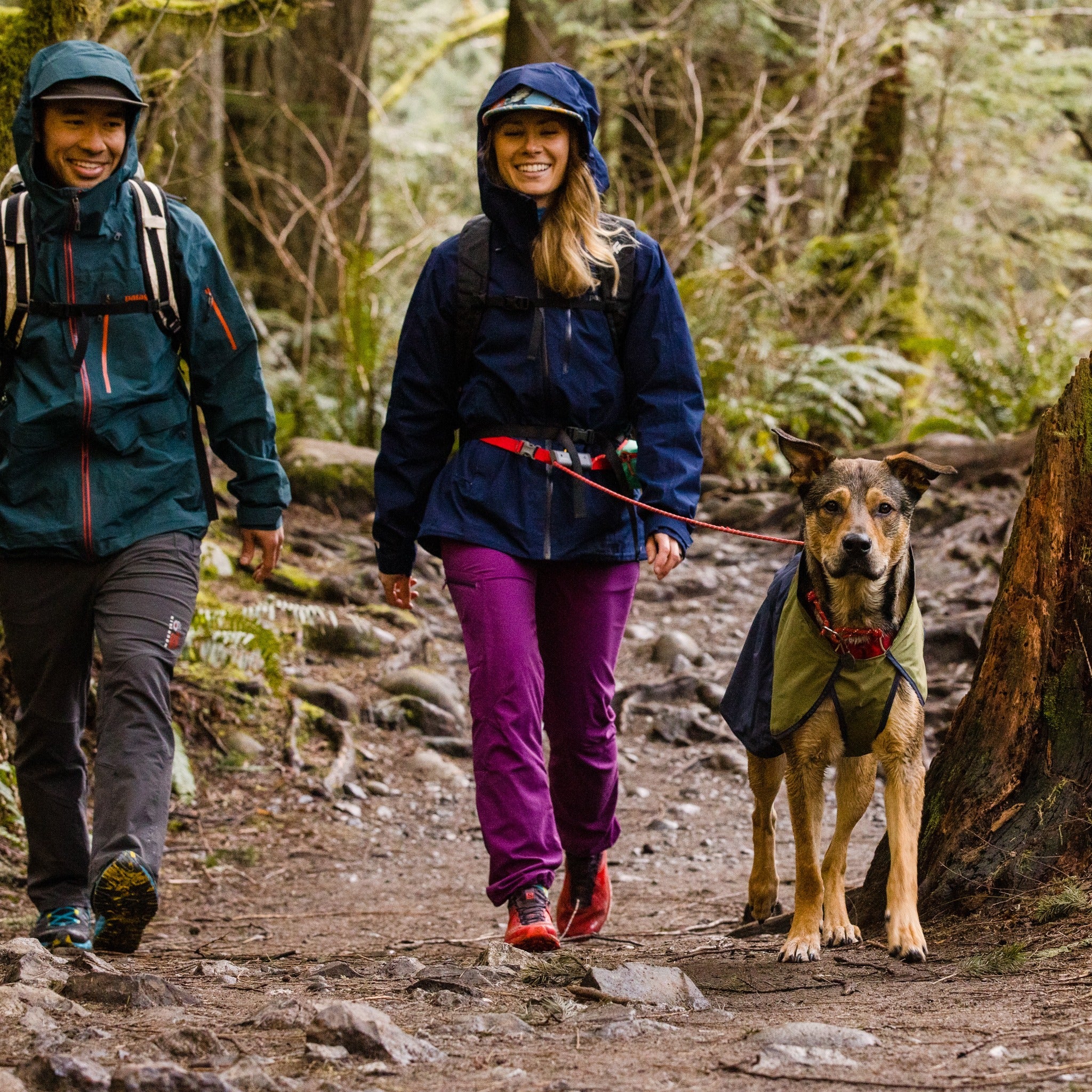 Ruffwear Hitch Hiker Leash, Hundeleine - Woofshack