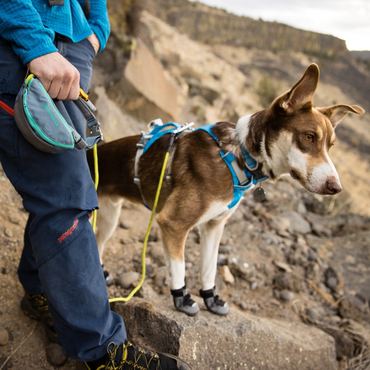Ruffwear Hitch Hiker Leash, Hundeleine - Woofshack