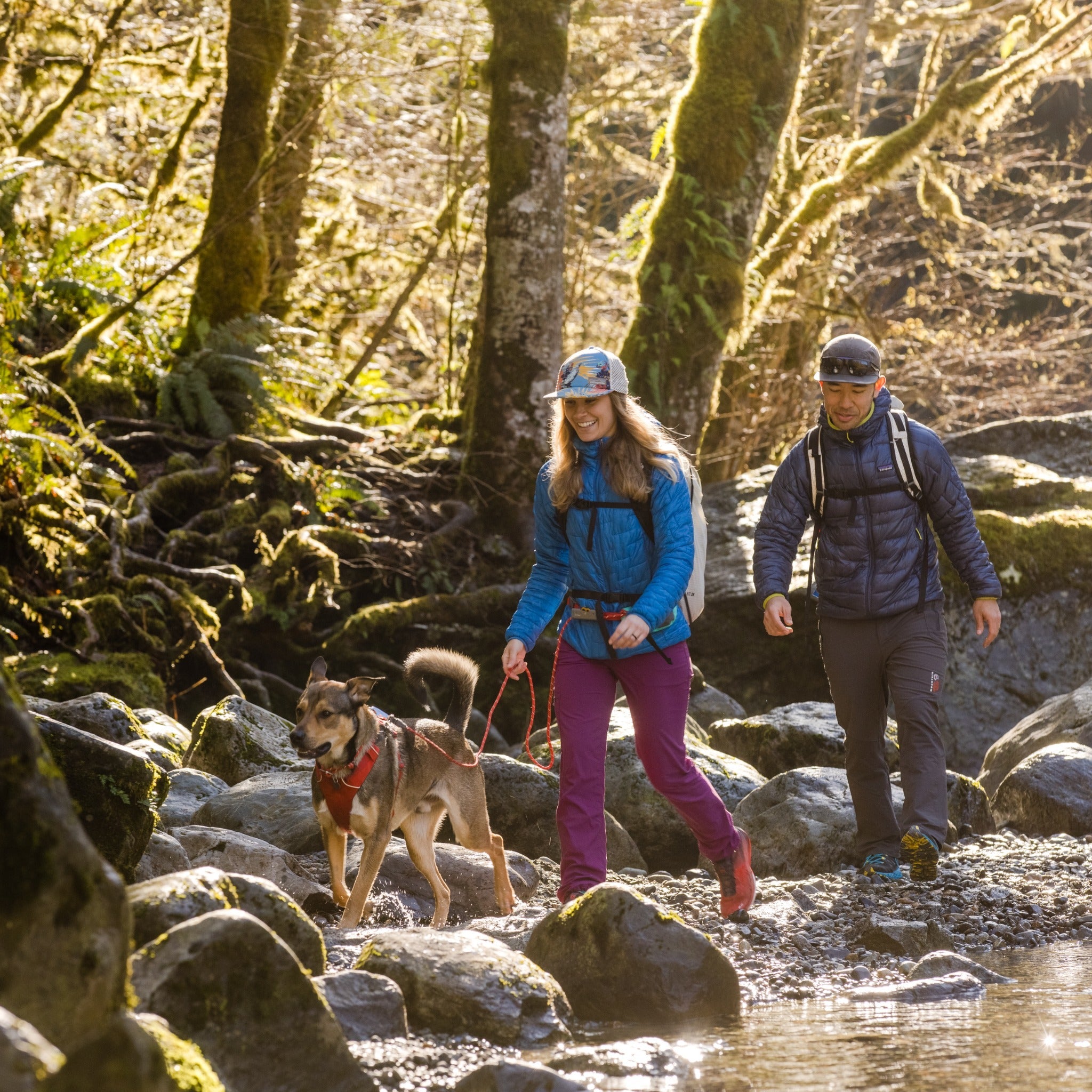 Ruffwear Hitch Hiker Leash, Hundeleine - Woofshack
