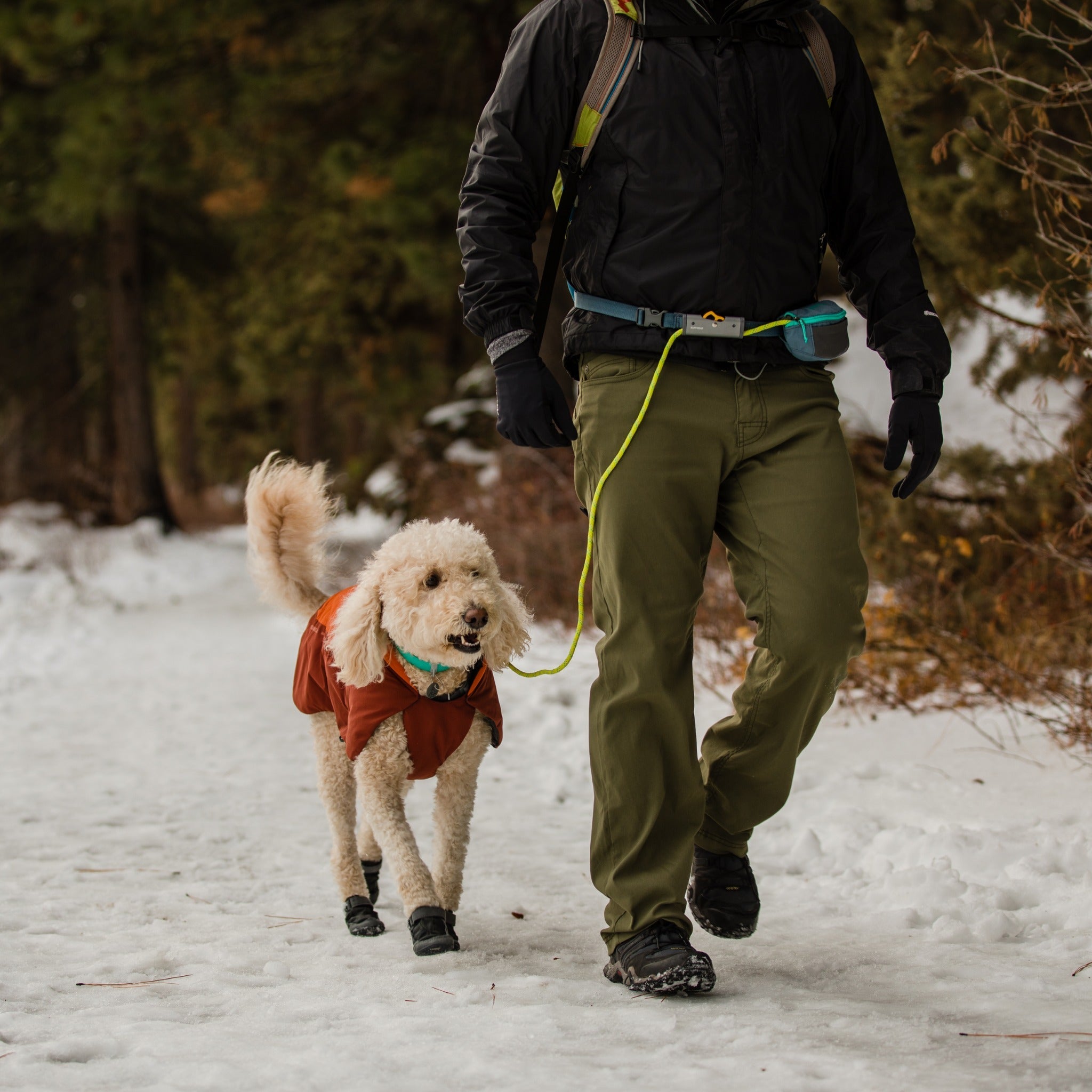 Ruffwear Hitch Hiker Leash, Hundeleine - Woofshack