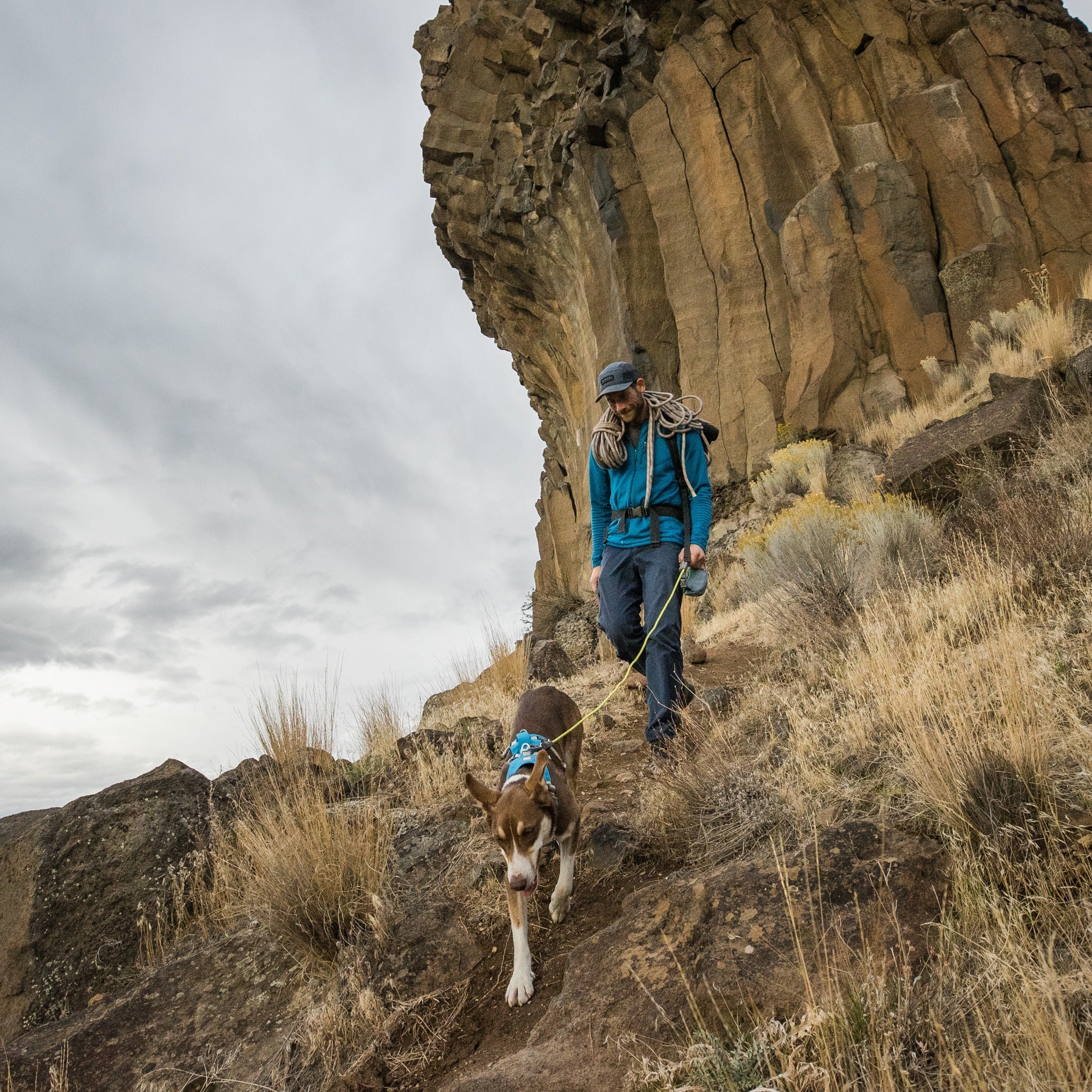 Ruffwear Hitch Hiker Leash, Hundeleine - Woofshack