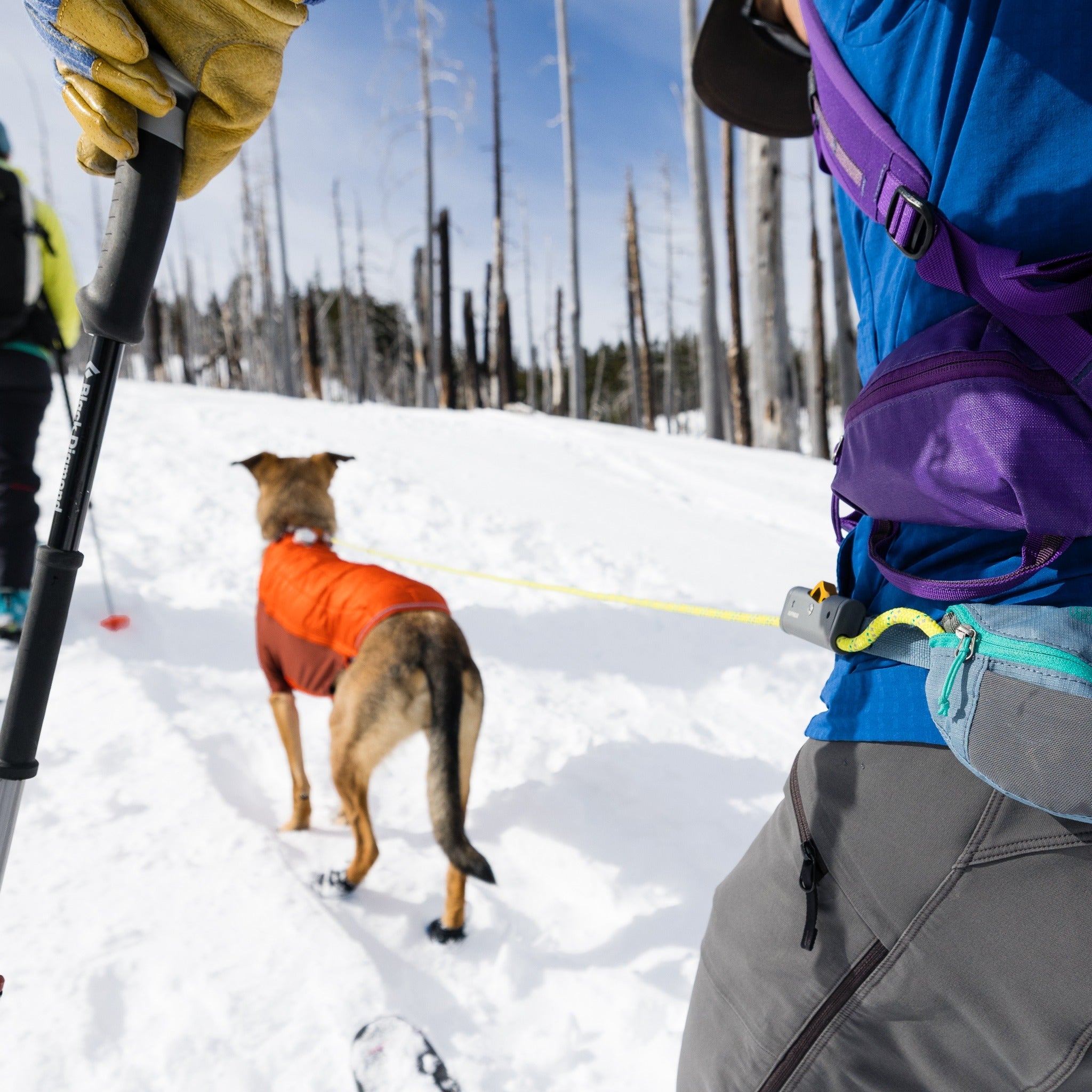 Ruffwear Hitch Hiker Leash, Hundeleine - Woofshack