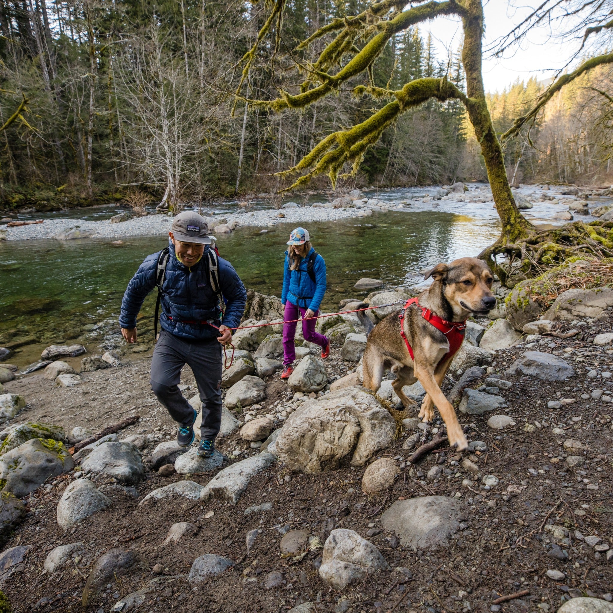 Ruffwear Hitch Hiker Leash, Hundeleine - Woofshack