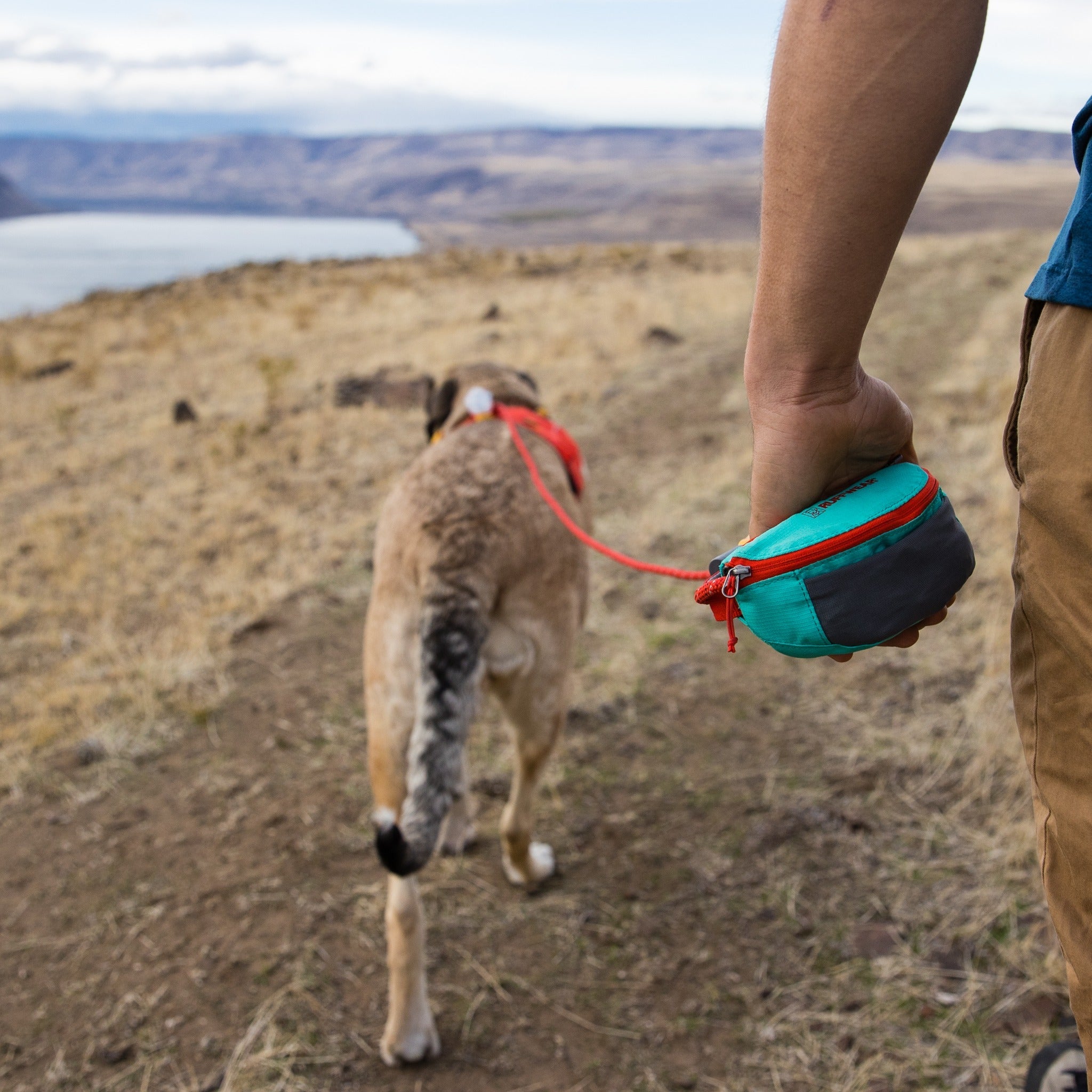 Ruffwear Hitch Hiker Leash, Hundeleine - Woofshack