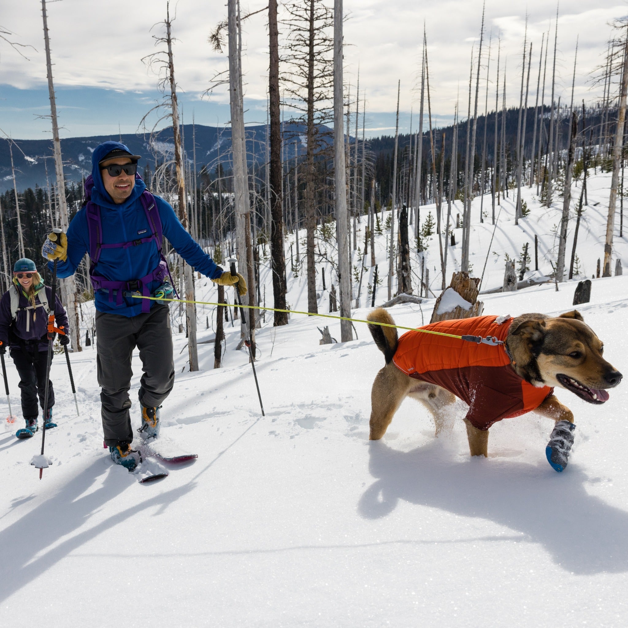 Ruffwear Hitch Hiker Leash, Hundeleine - Woofshack