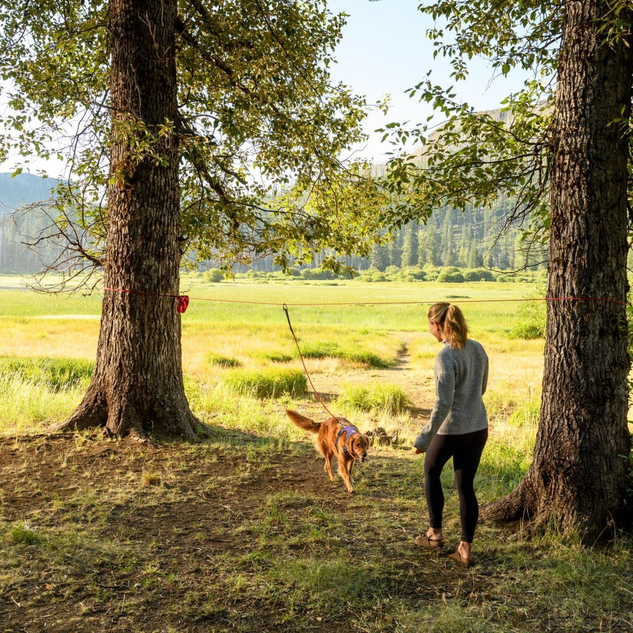 Ruffwear Knot-a-Hitch, Hundeanbindesystem - Woofshack