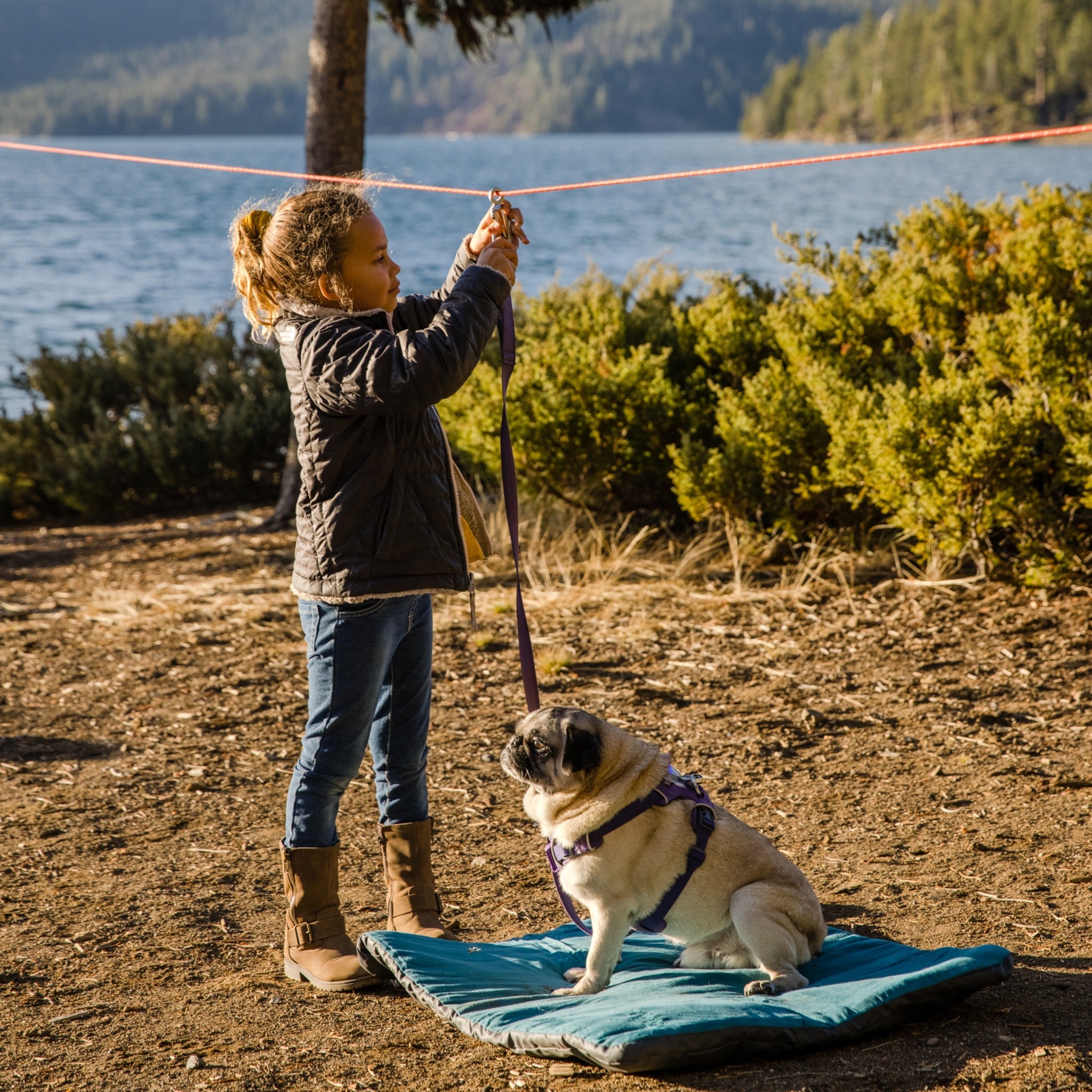 Ruffwear Knot-a-Hitch, Hundeanbindesystem - Woofshack