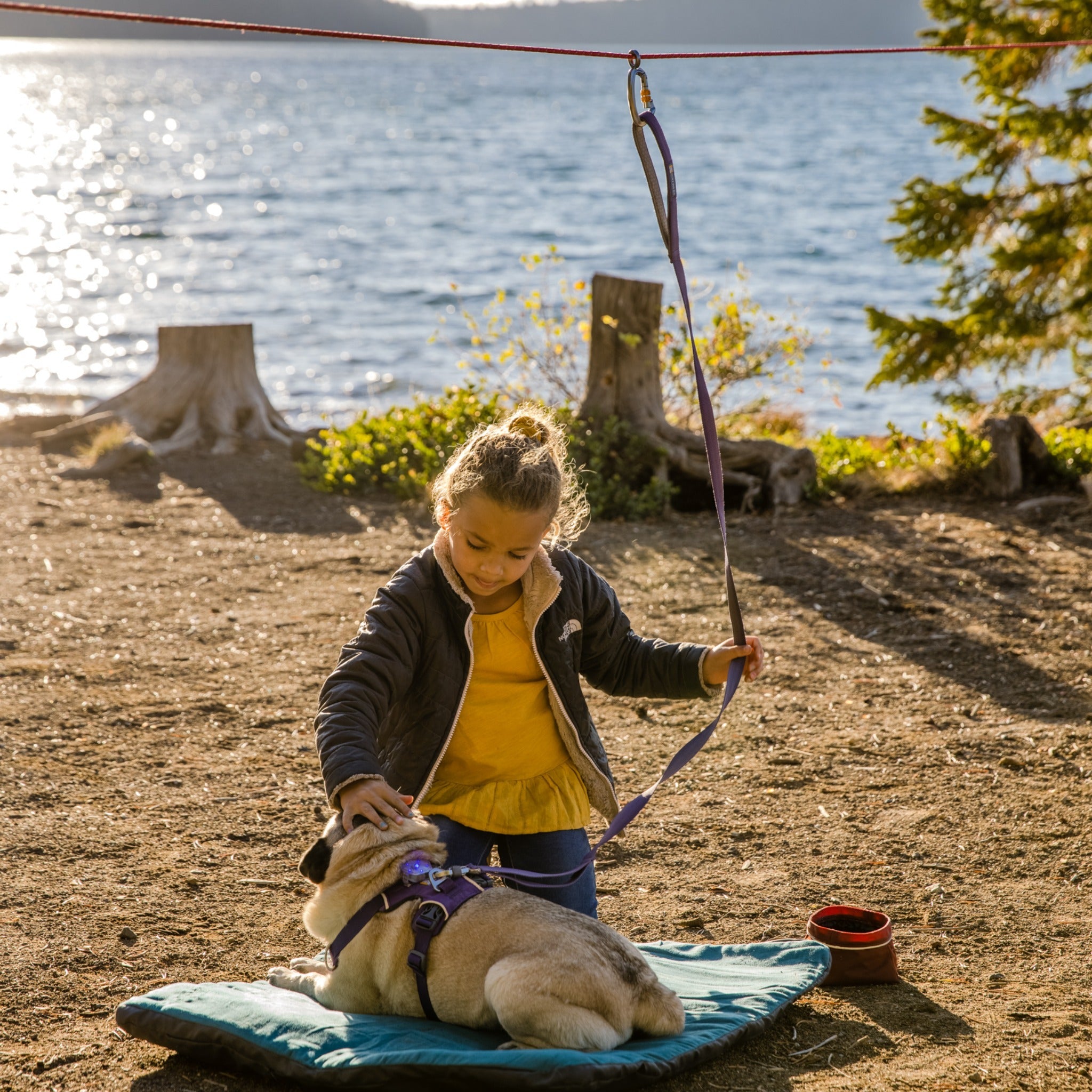 Ruffwear Knot-a-Hitch, Hundeanbindesystem - Woofshack