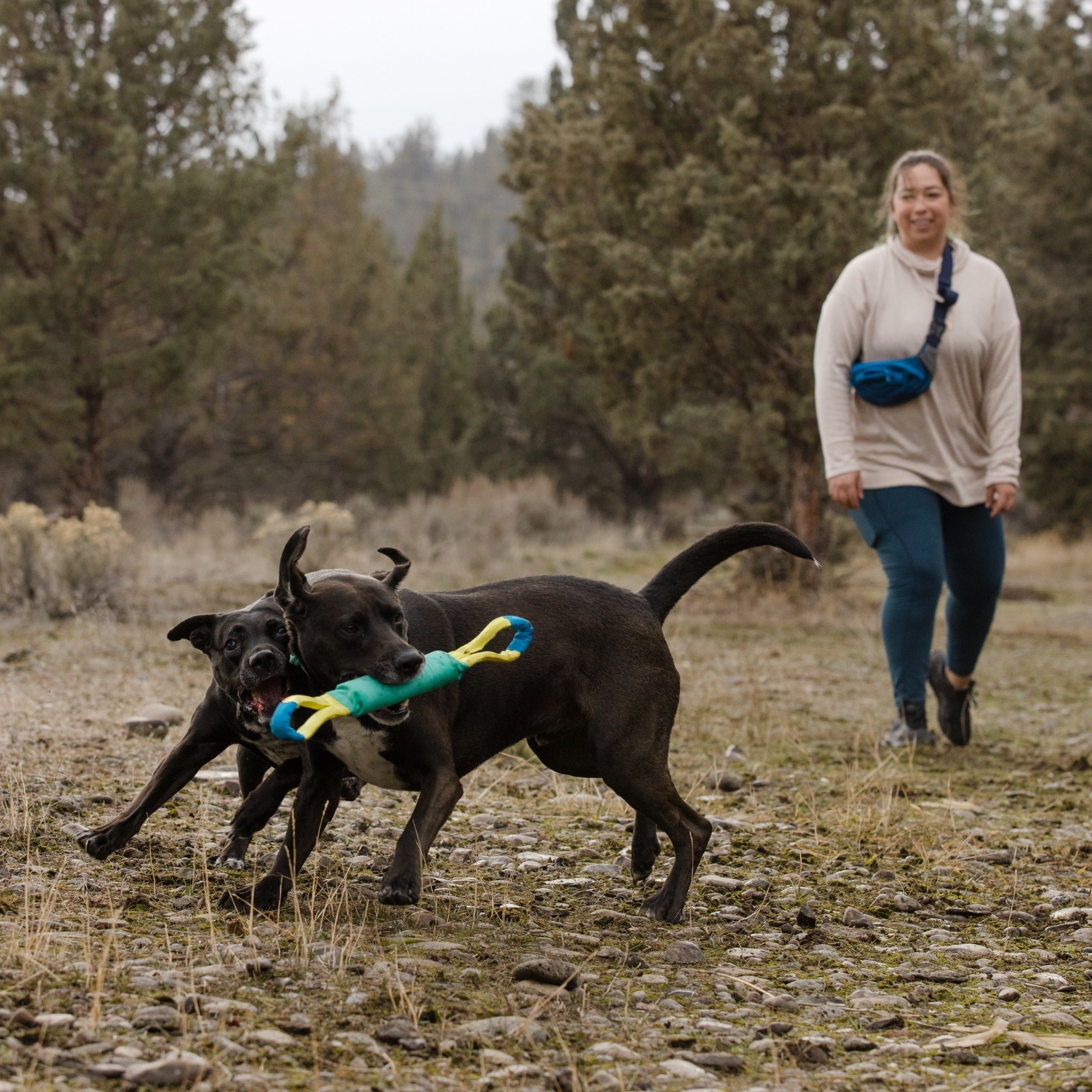 Ruffwear Pacific Loop, Hundespielzeug - Woofshack