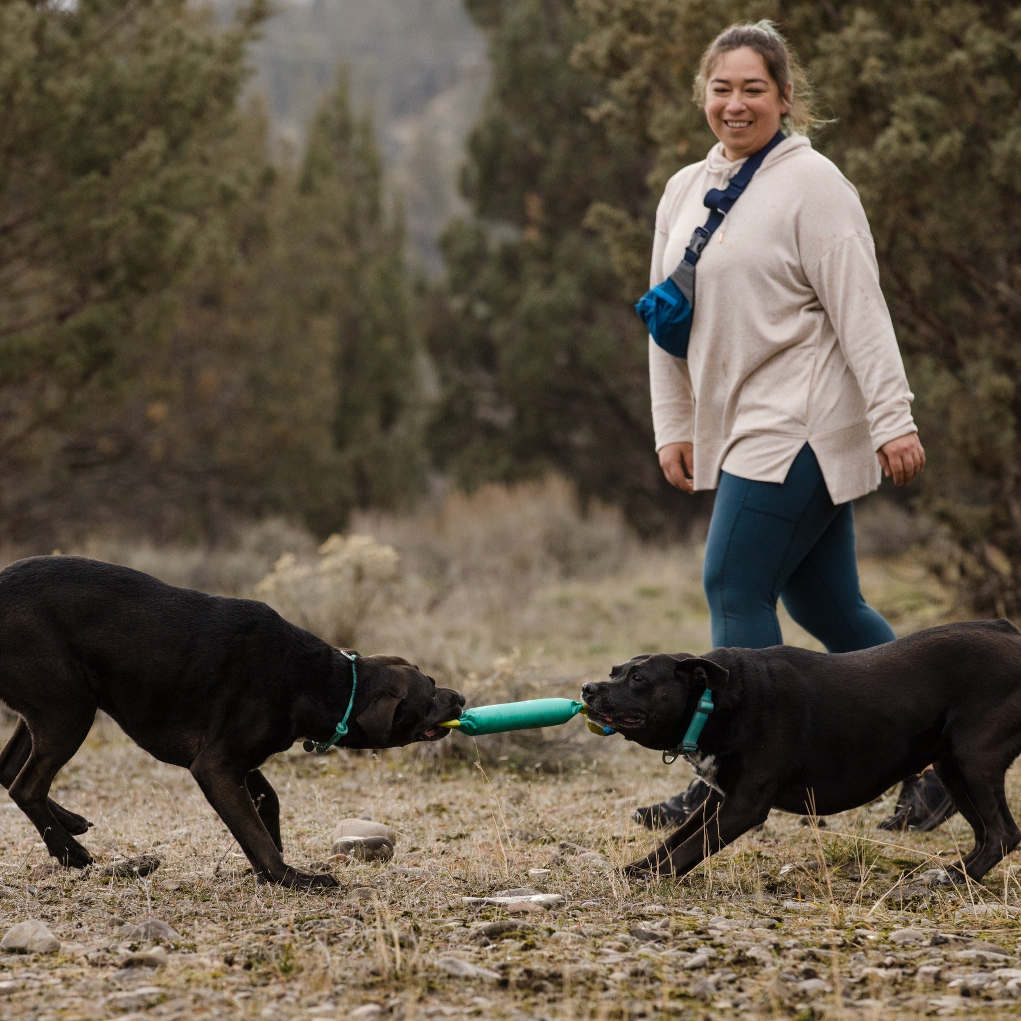 Ruffwear Pacific Loop, Hundespielzeug - Woofshack