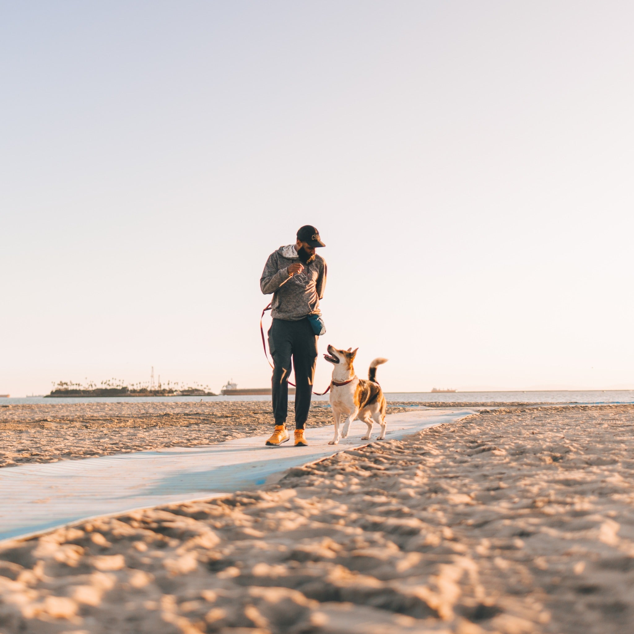 Ruffwear Pack Out Bag, Kotbeuteltasche - Woofshack