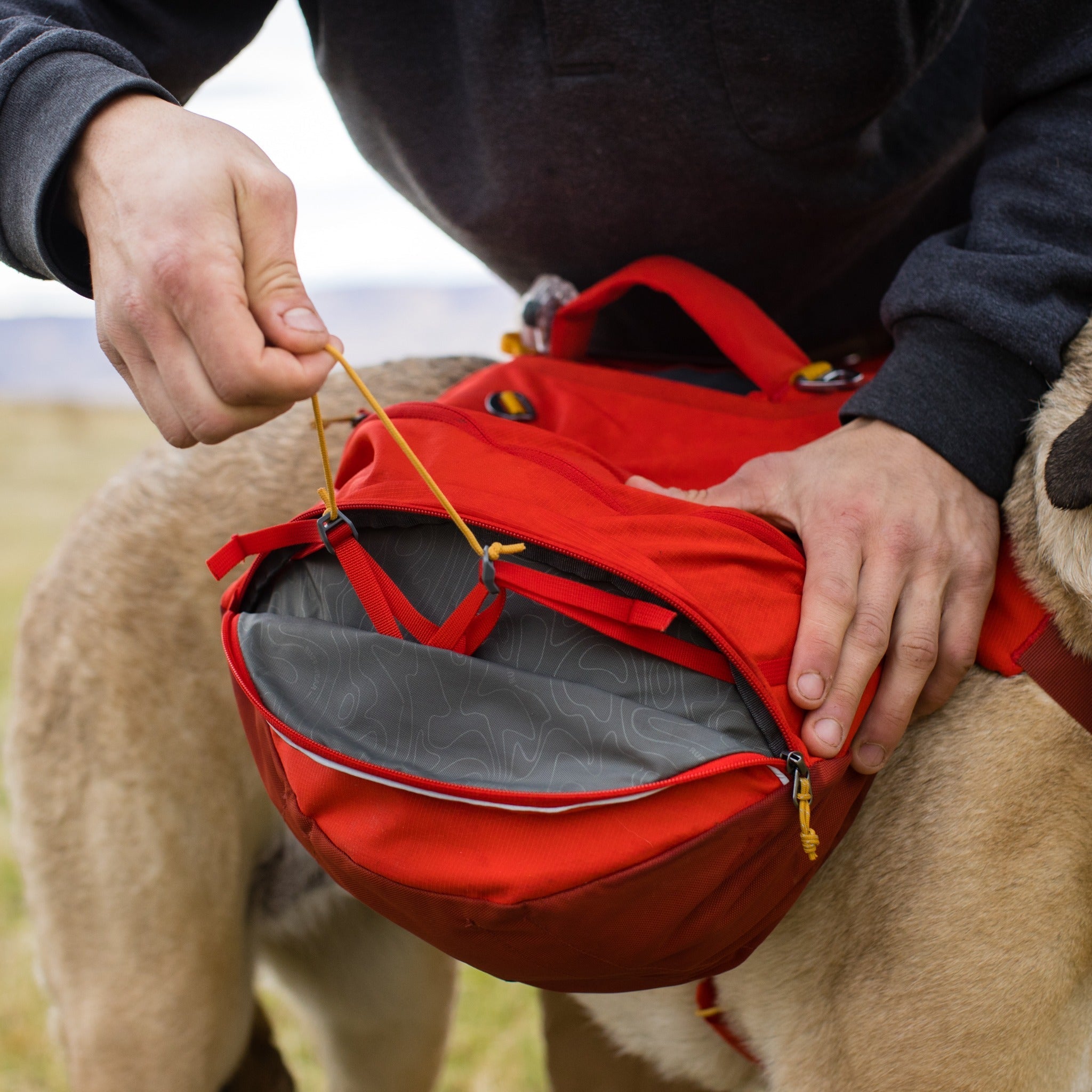 Ruffwear Palisades™ Pack, Hunderucksack mit abnehmbaren Taschen - Woofshack