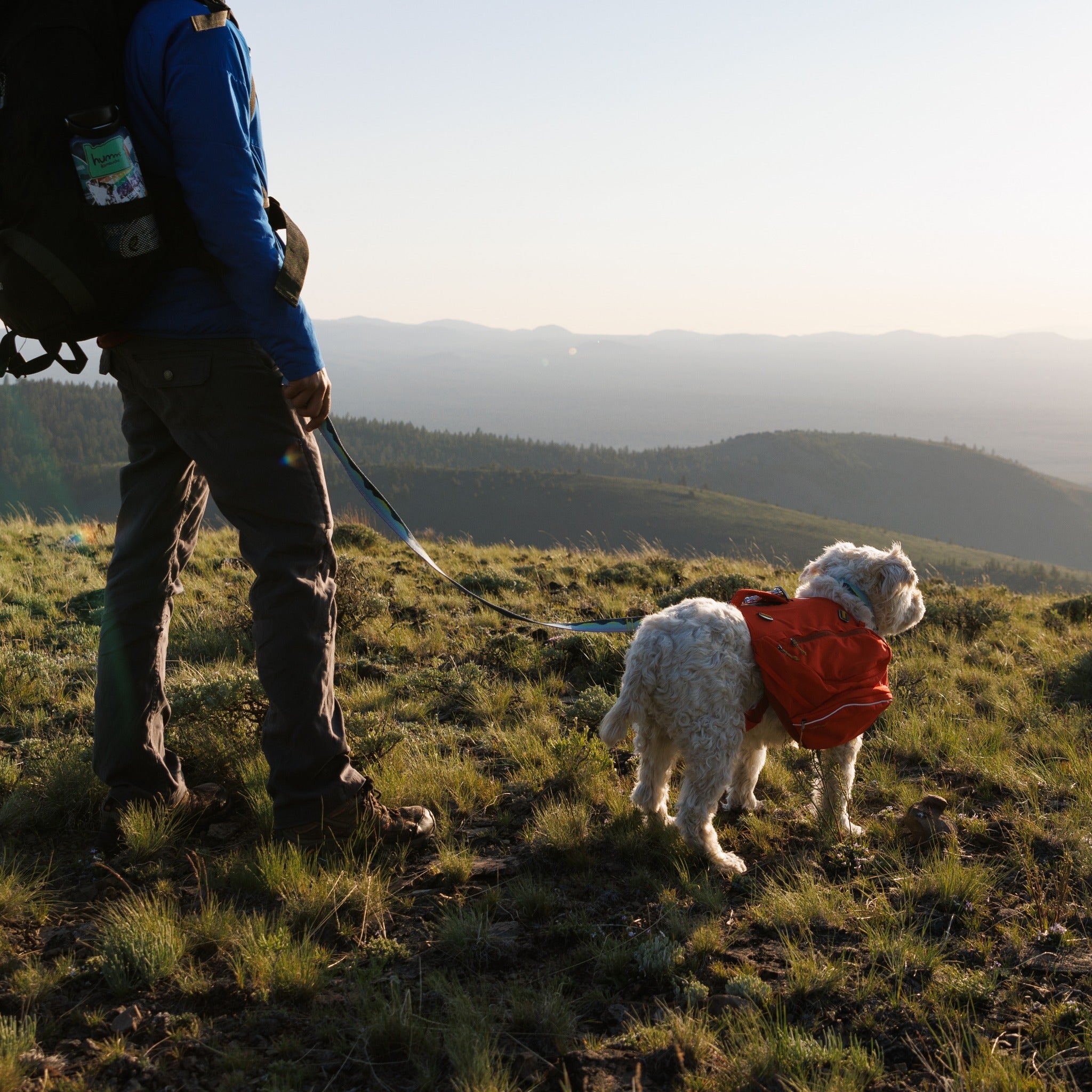 Ruffwear Palisades™ Pack, Hunderucksack mit abnehmbaren Taschen - Woofshack